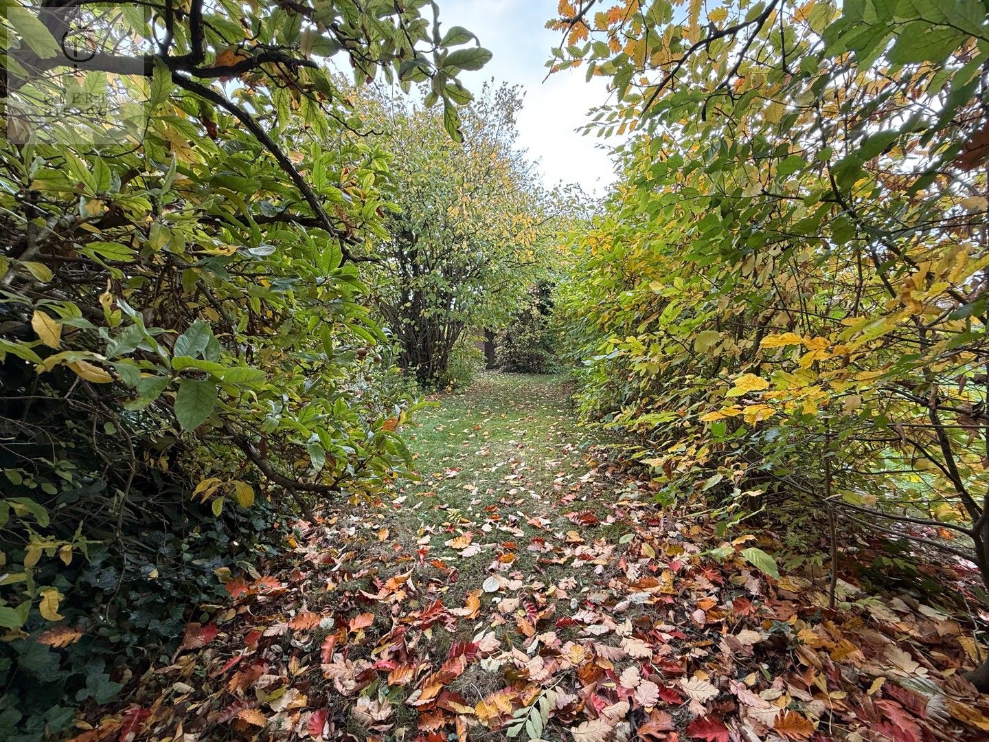 Tijdloze parel in Wezeren foto 64