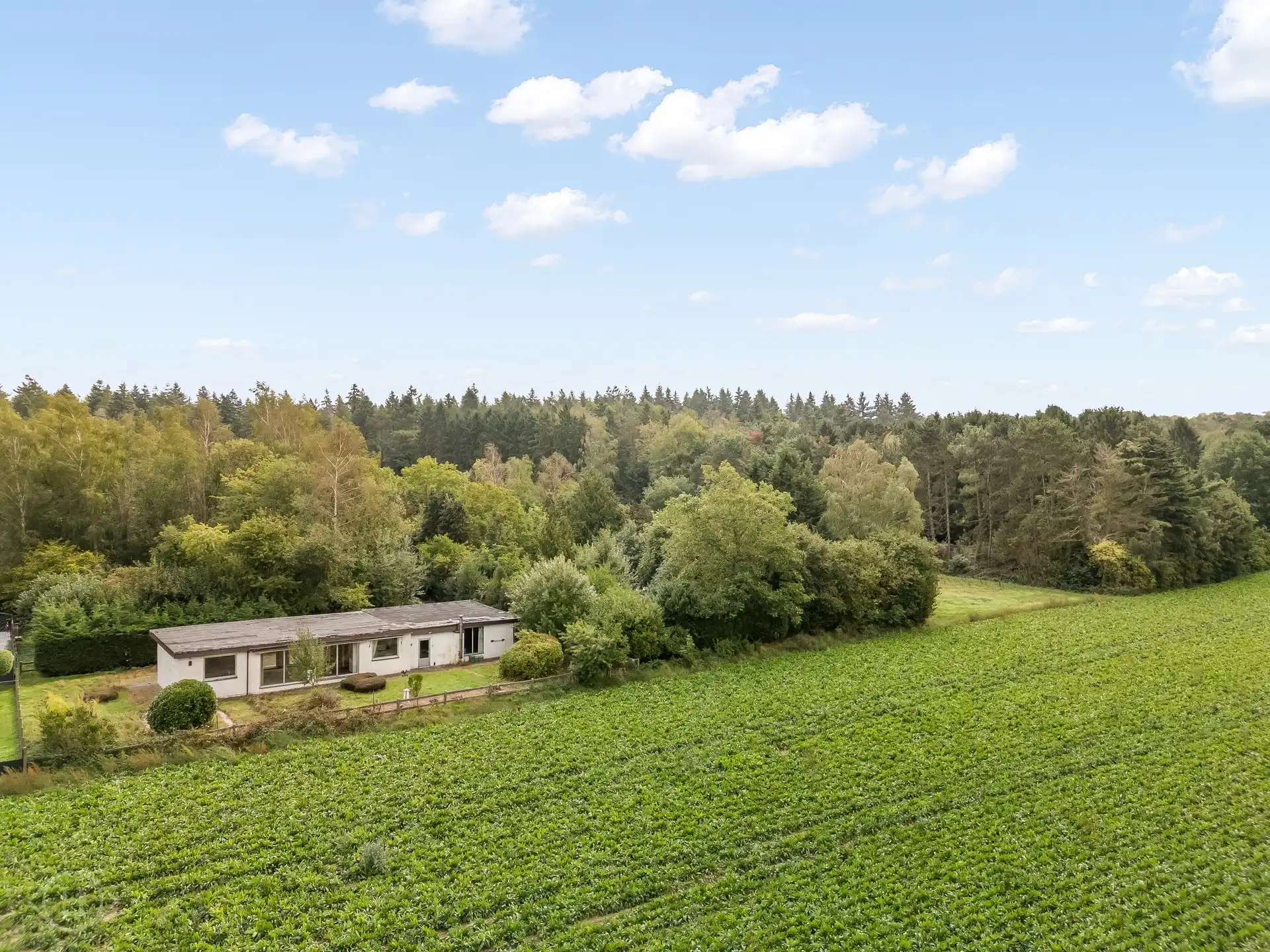 Hoofdfoto van de publicatie: Uniek perceel met prachtig uitzicht te Blanden