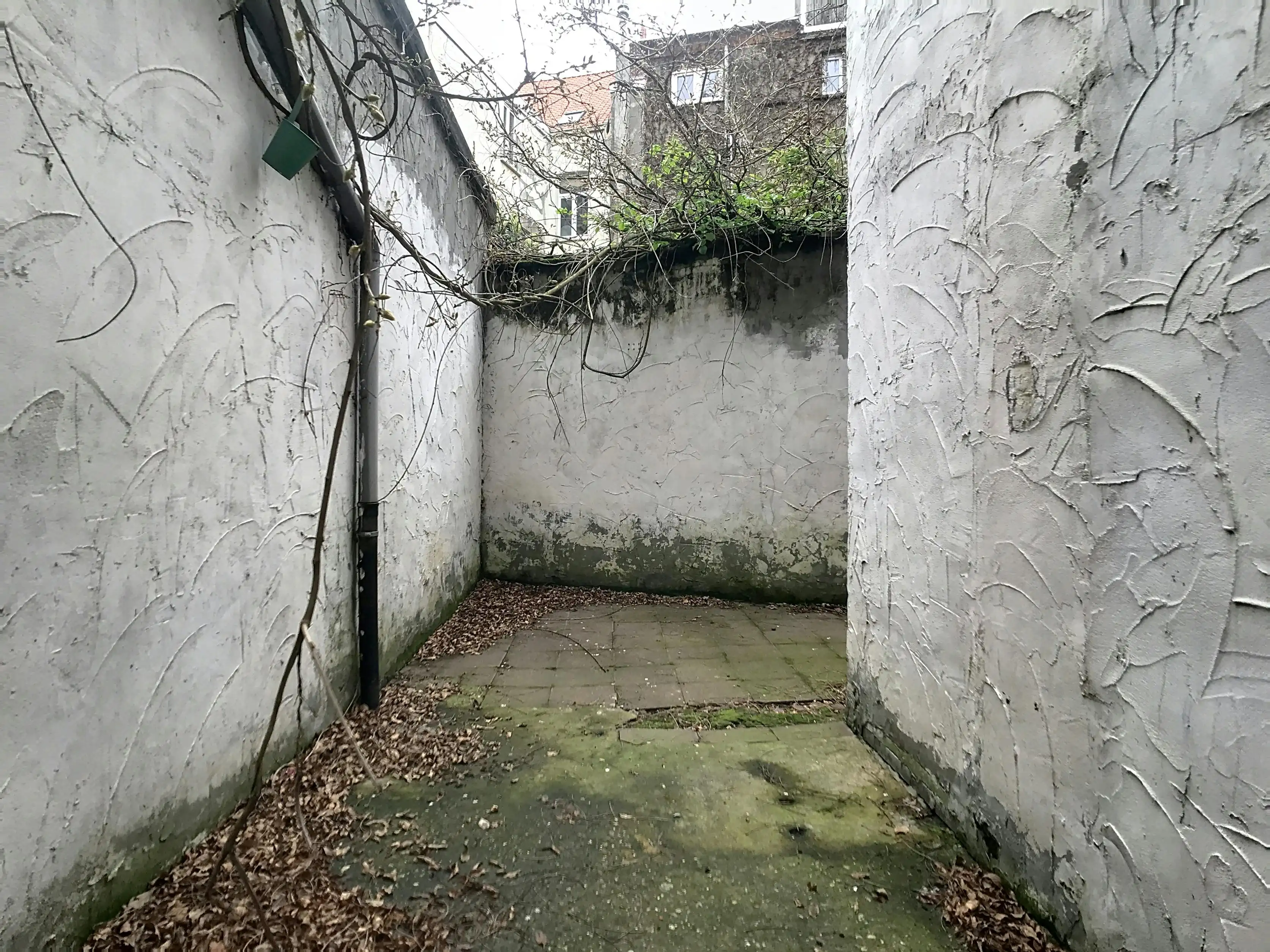 Huis van ca. 223 m² met koer te koop in Borgerhout foto 14