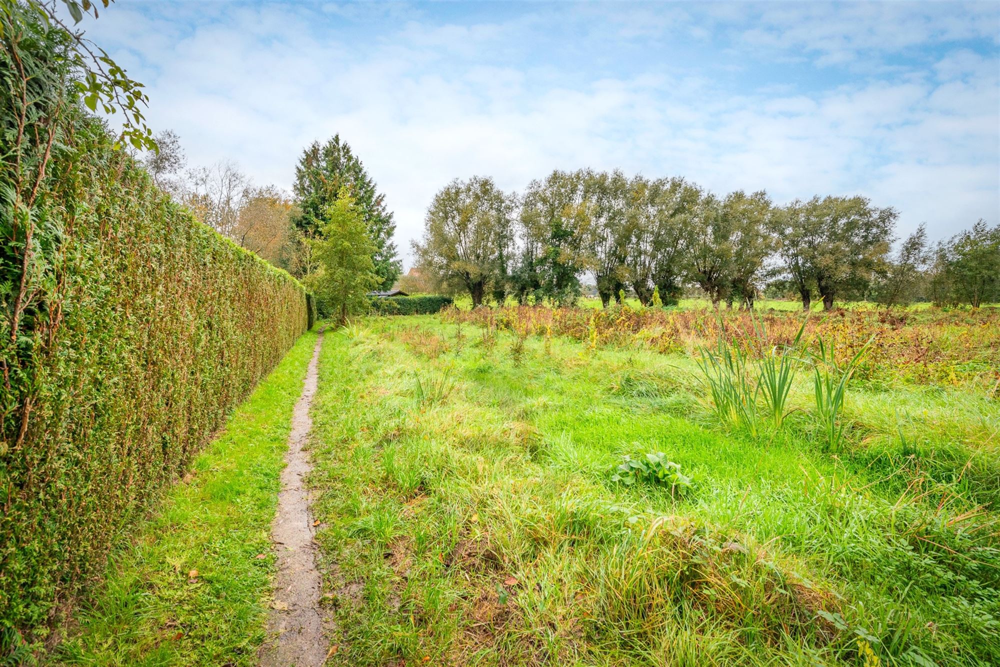 Unieke en authentieke hoeve te koop foto 33