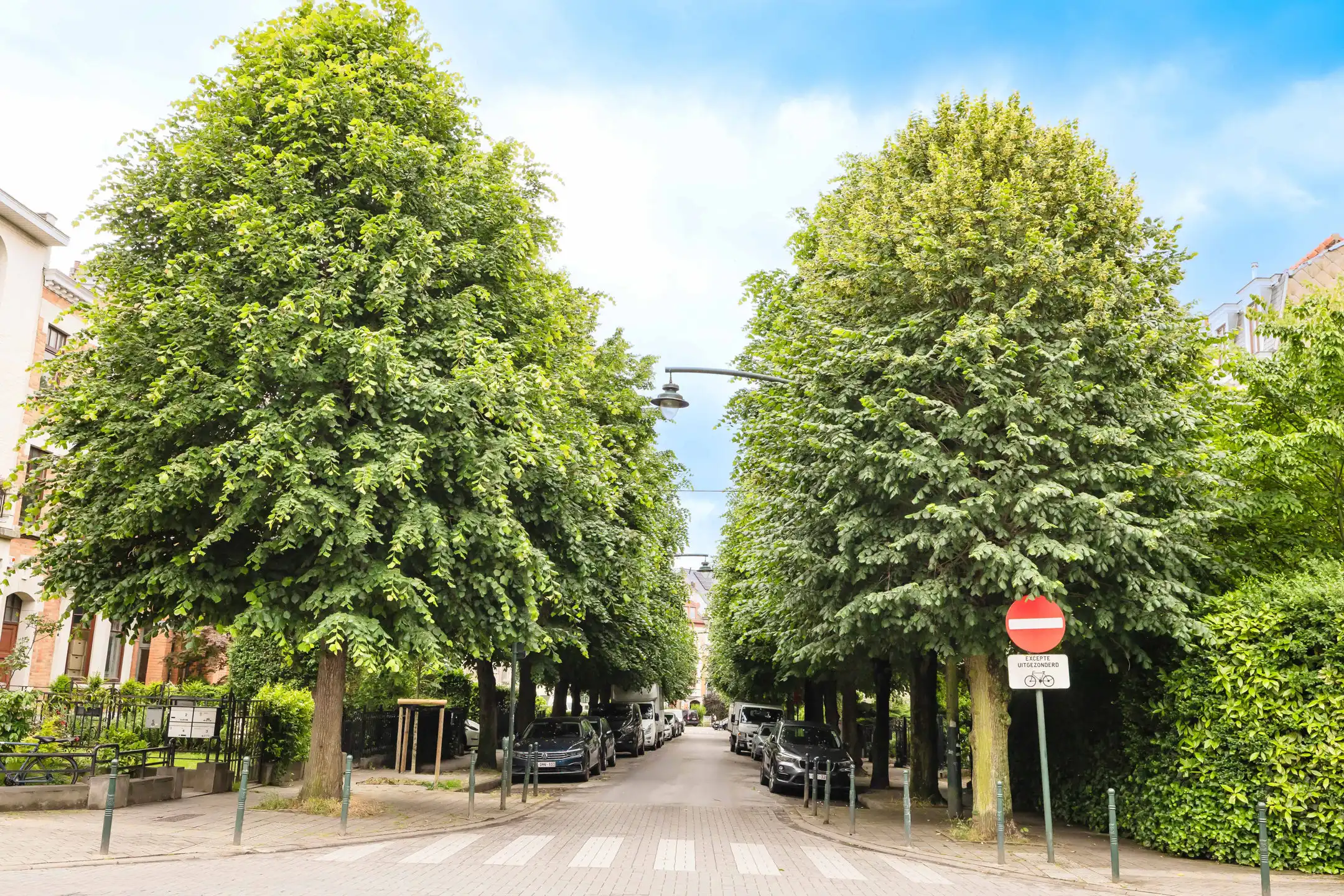 ± 600 m² potentieel om nieuw leven in te blazen foto 3