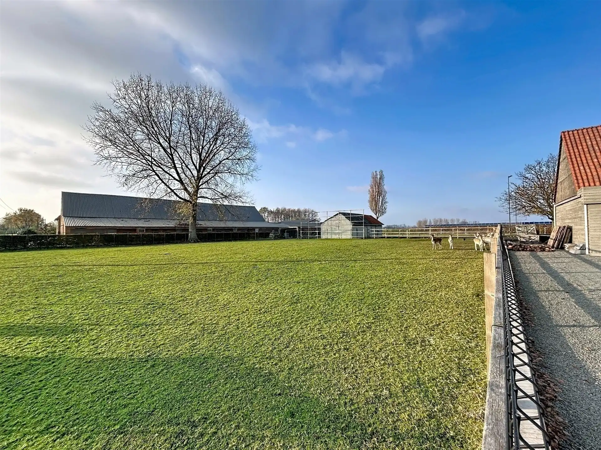 Ruime woning met bijbouw en weide op perceel van 6790 m²  foto 2