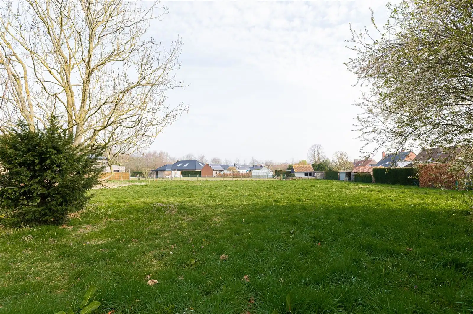 Bouwgrond voor open bebouwing met privatieve oprijlaan! foto 2