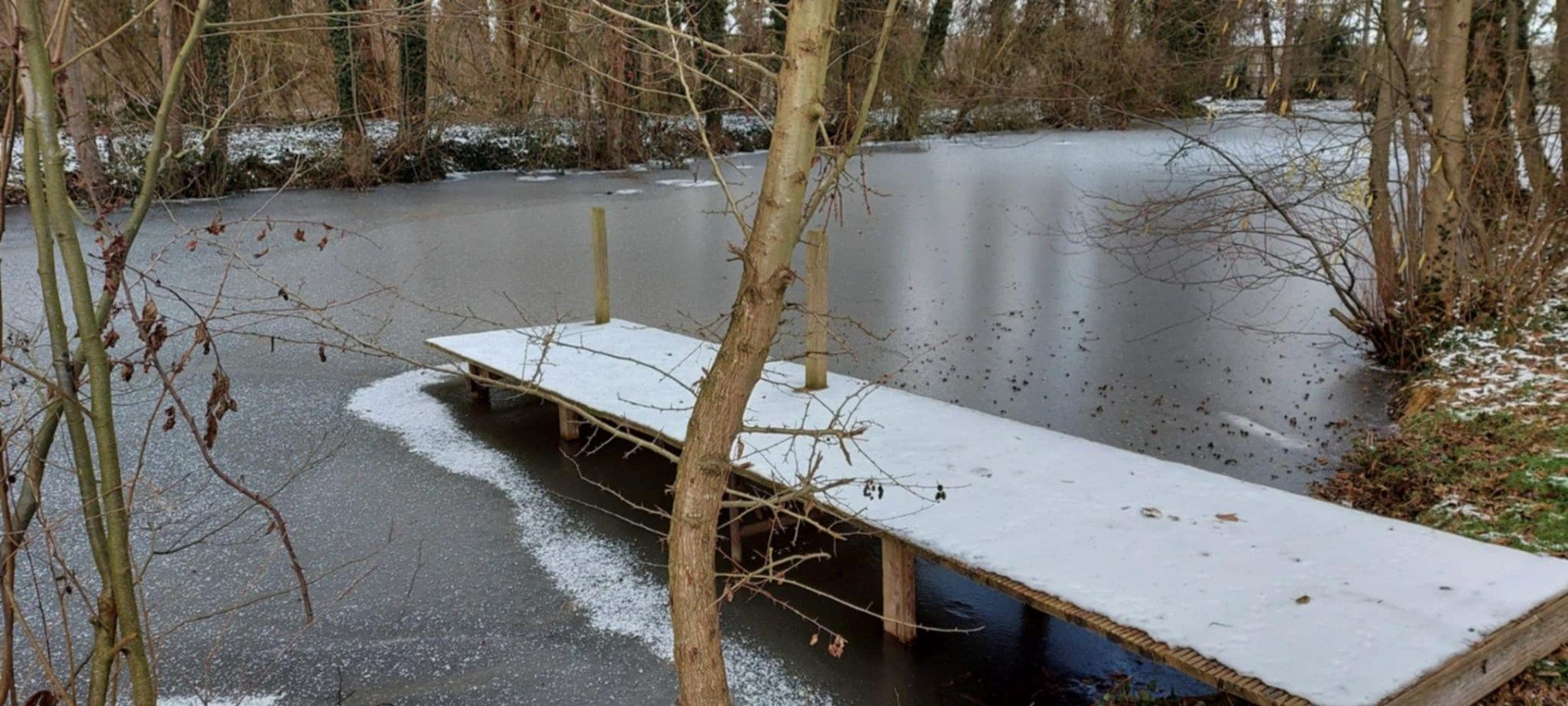 UNIEK DOMEIN MET OFF-GRID VAKANTIEWONING, SCHUUR EN 2 VIJVERS OP 1 HA 41 A foto 27