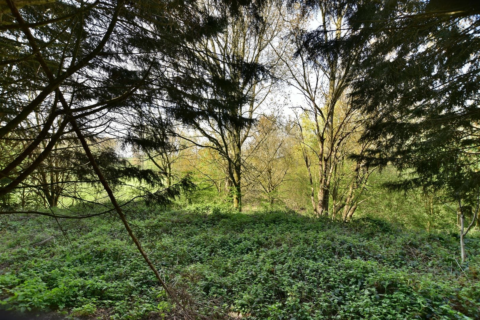 Het perceel is gelegen in de Molendreef te Geraardsbergen foto 22