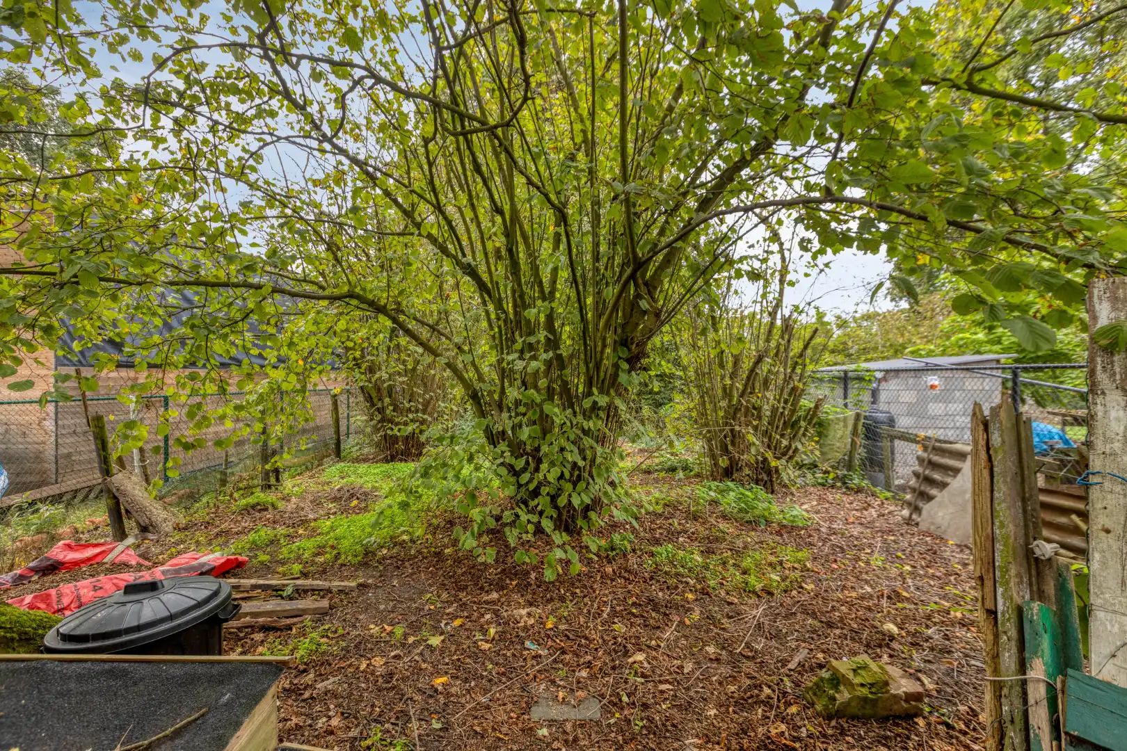 Te renoveren woning met 3 slaapkamers en ruime tuin op 1.065 m² te OLV Olen !  foto 22