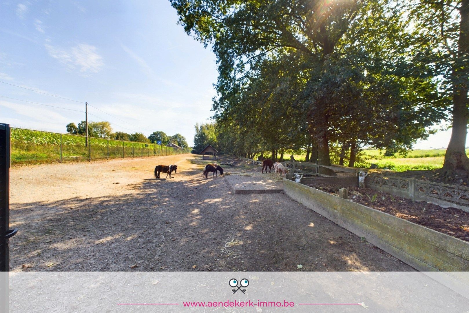 Charmant bouwproject met idyllische ligging in Ophoven foto 9