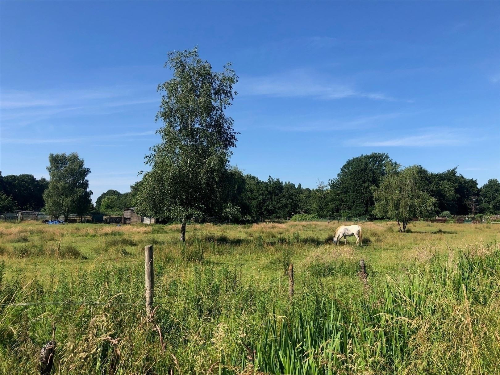 Half open bouwgrond aan het natuurgebied FORT VAN MERKSEM. foto 10