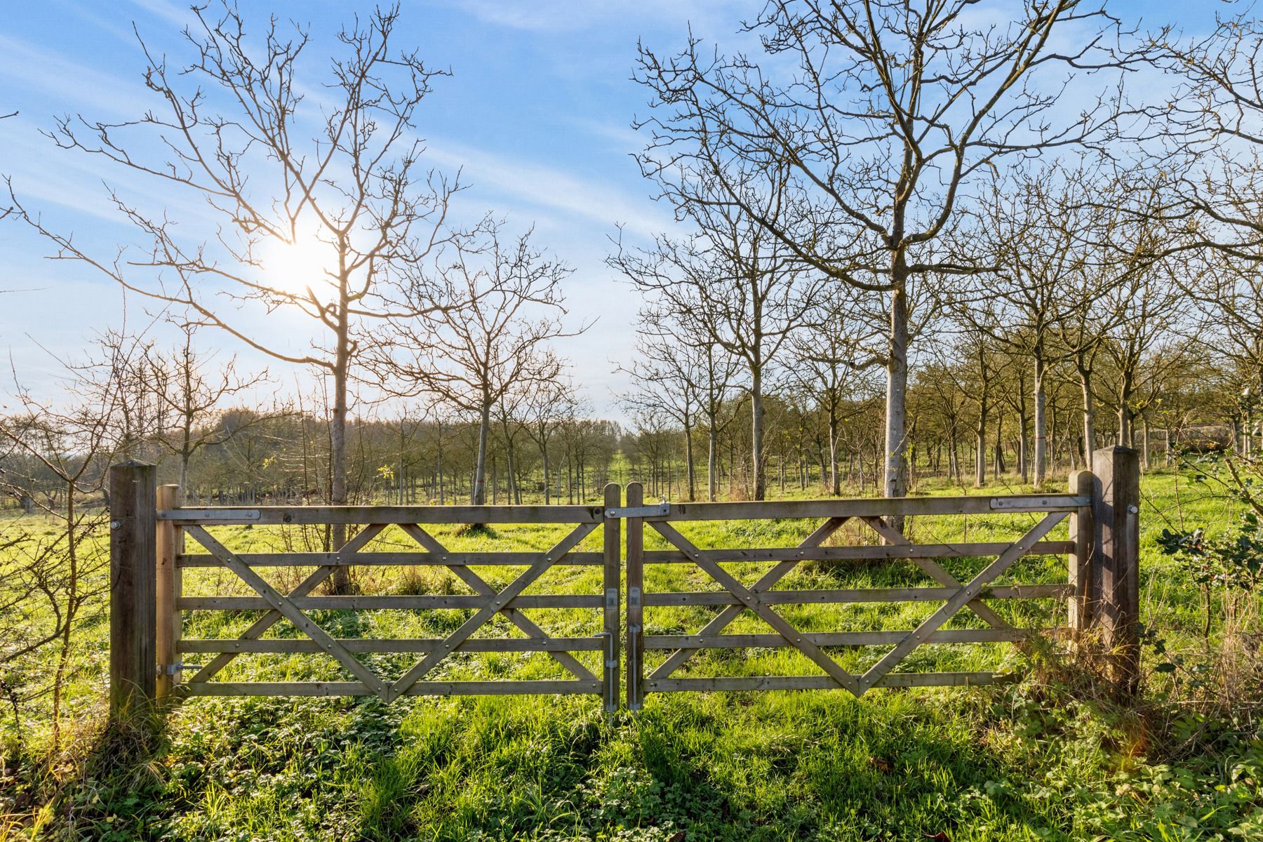 Parel op de Tiegemberg: grond voor alleenstaande nieuwbouw! foto 5