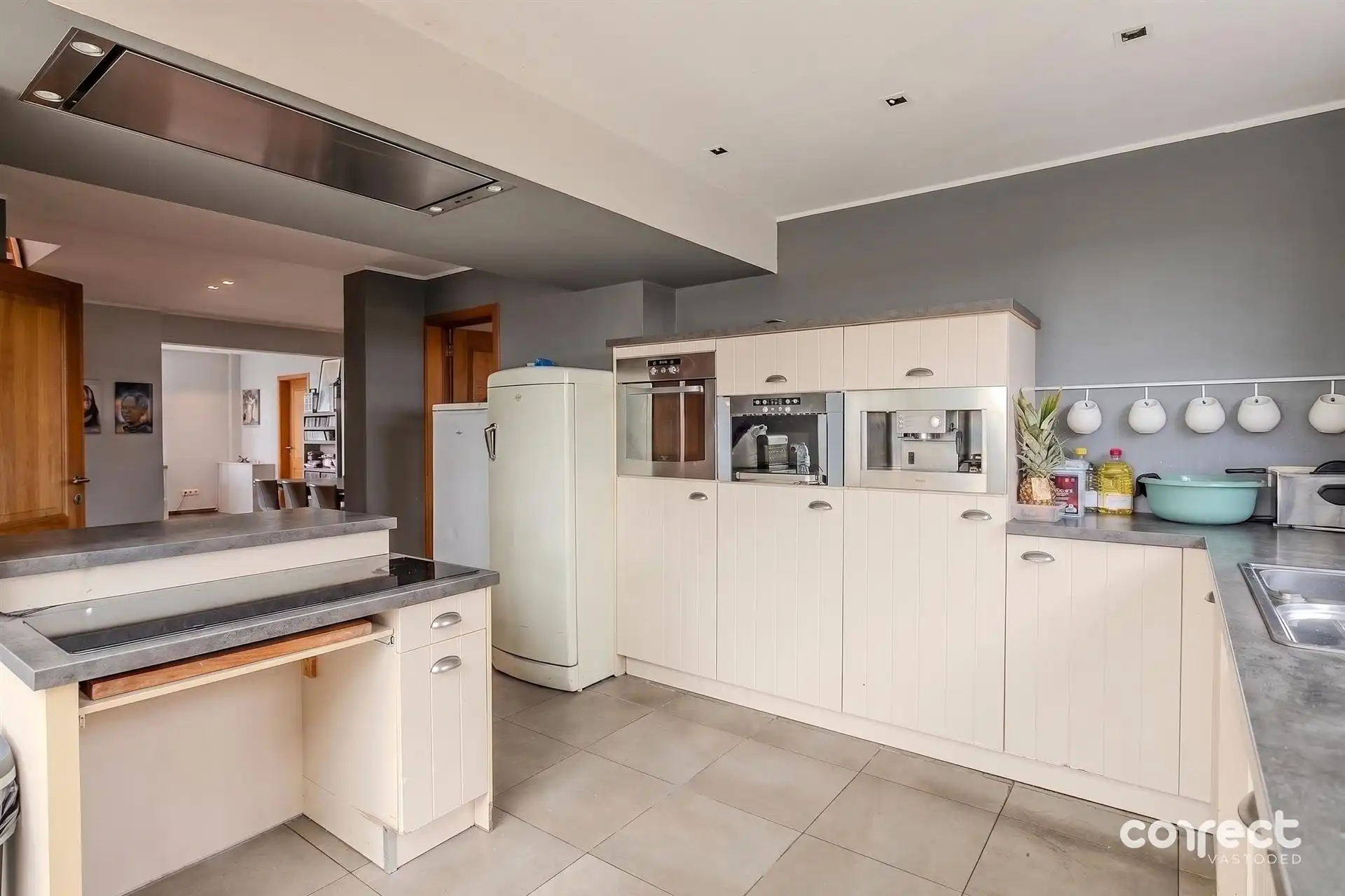 Landelijk gelegen woning op ruim perceel nabij de kust. foto 5