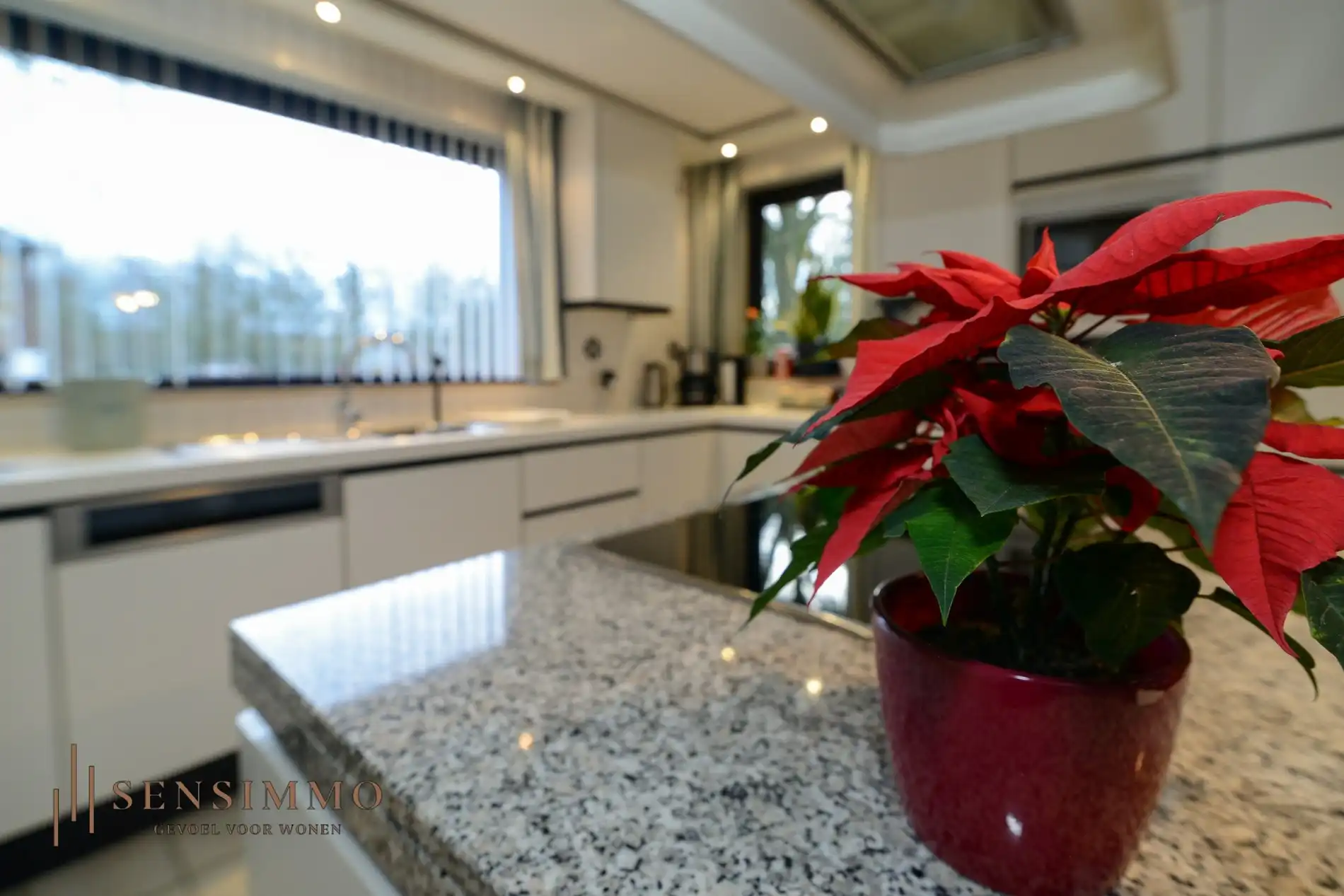 Open bebouwing met 3 slaapkamers op ruim perceel van 13a foto 14