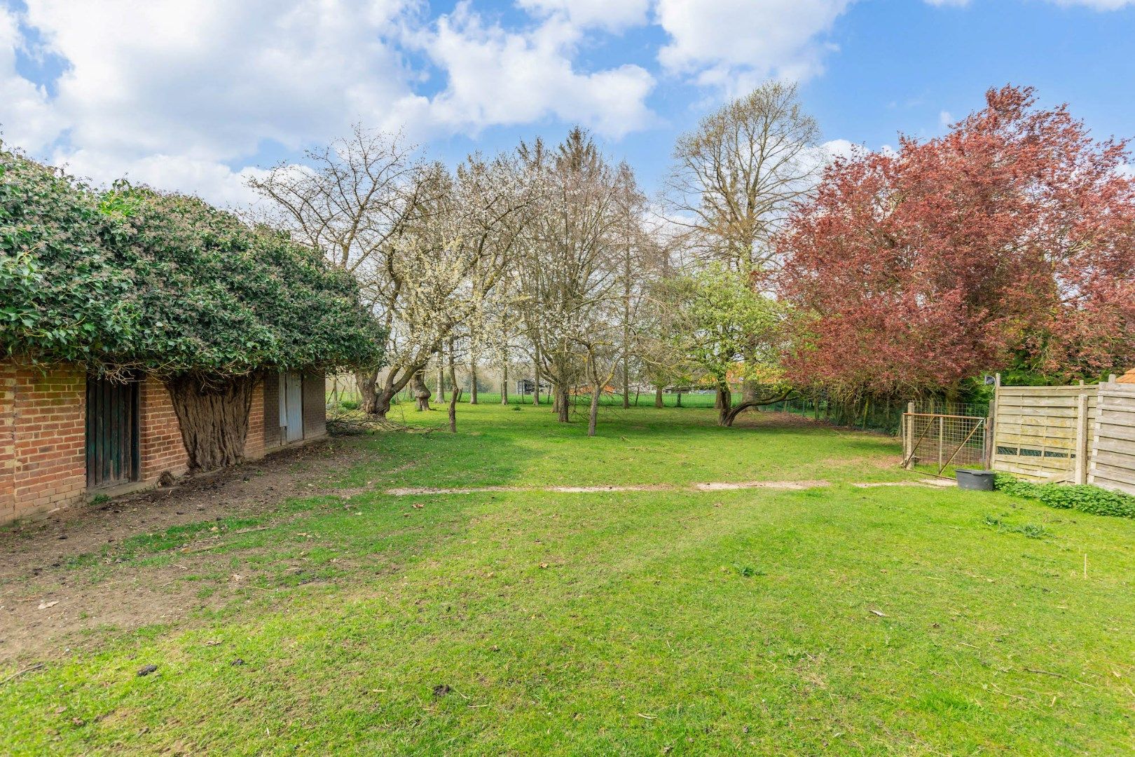 GROOT BEDRIJFSPAND MET RUIME WONING OP PERCEEL VAN 48A foto 28