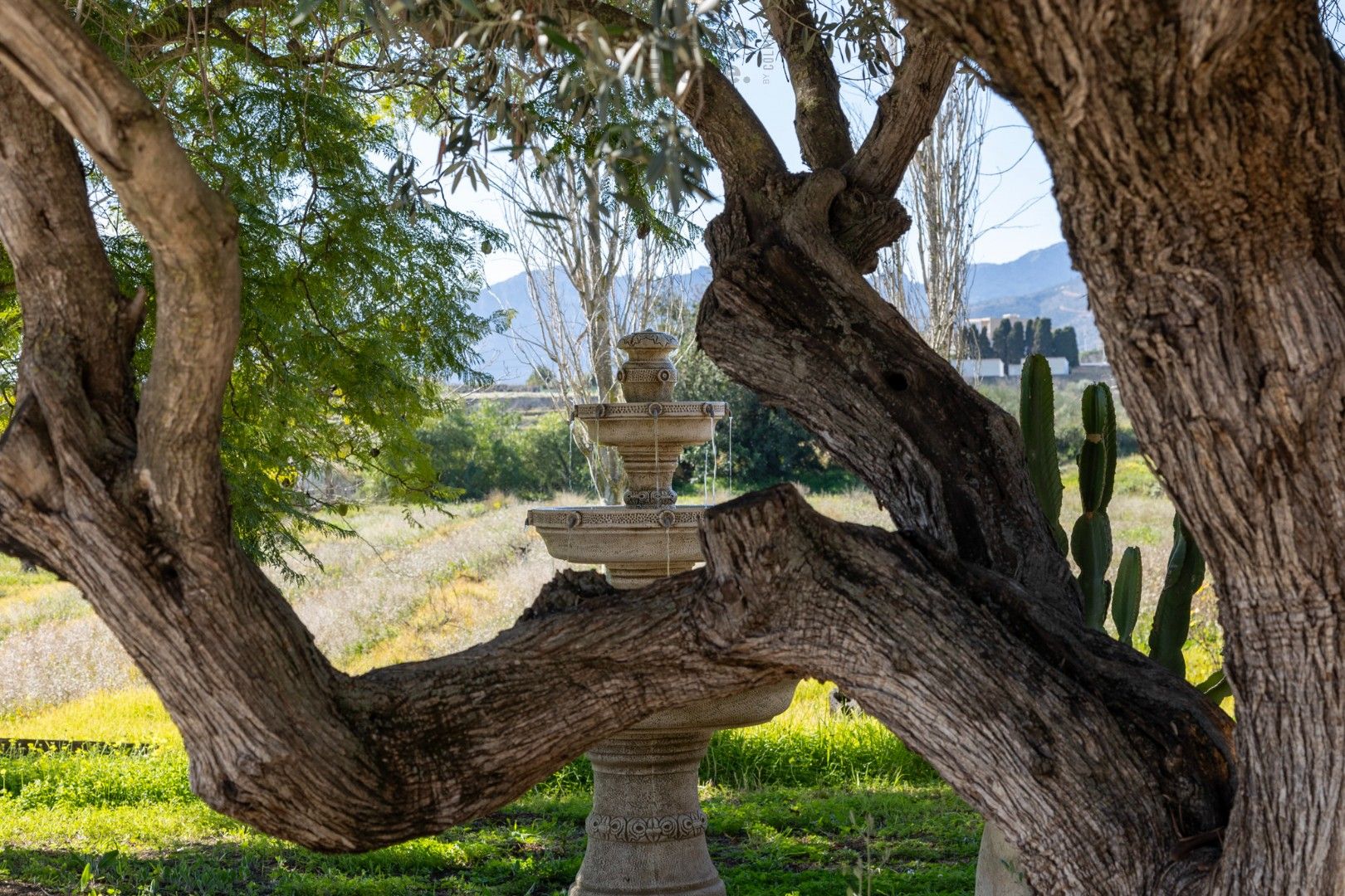 Exclusieve Finca met landgoed tussen Benissa en Senija – Historische Charme & Moderne Luxe foto 9