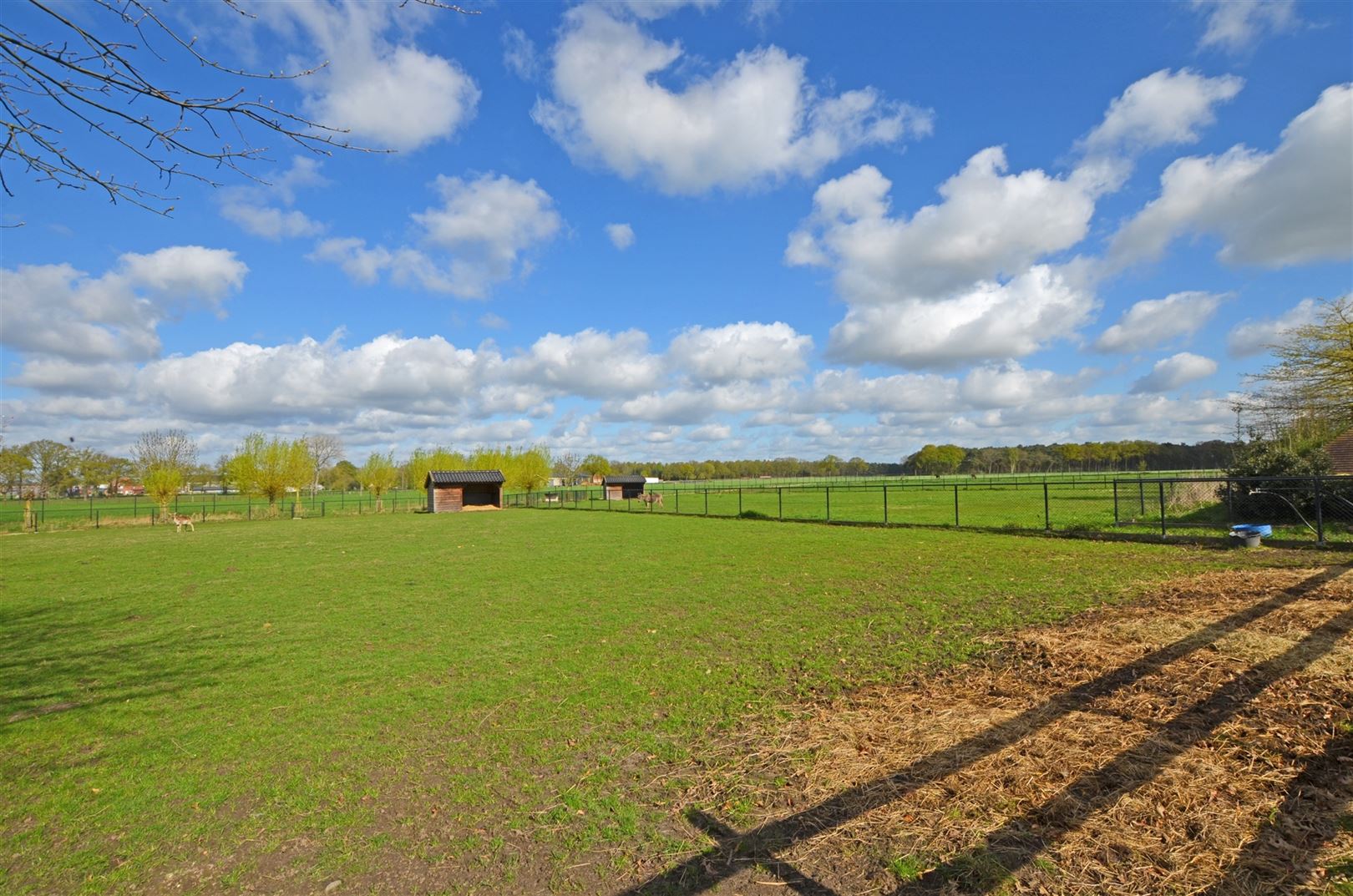 Trendy stijlvolle villahoeve met paardenaccommodatie op 3,5 ha foto 38