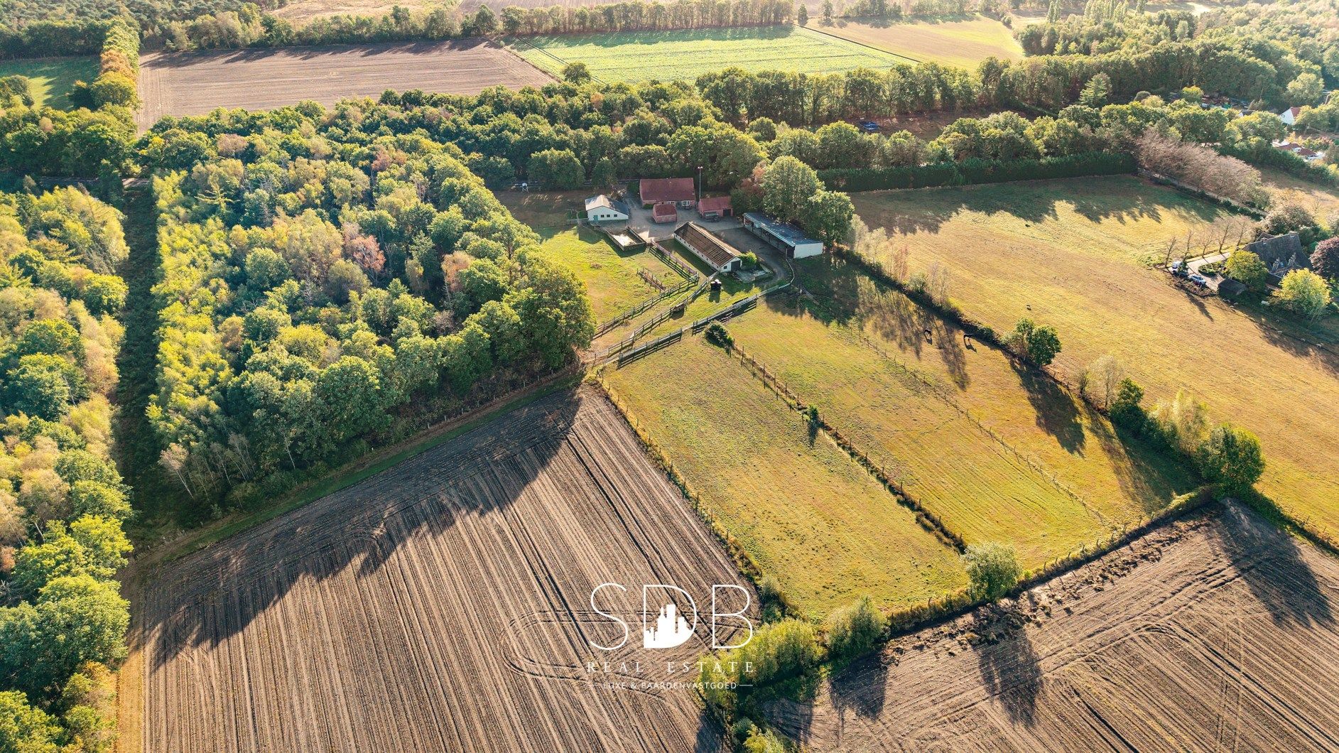 Authentieke hoeve met diverse bijgebouwen en graslanden op 93.155m² foto {{pictureIndex}}