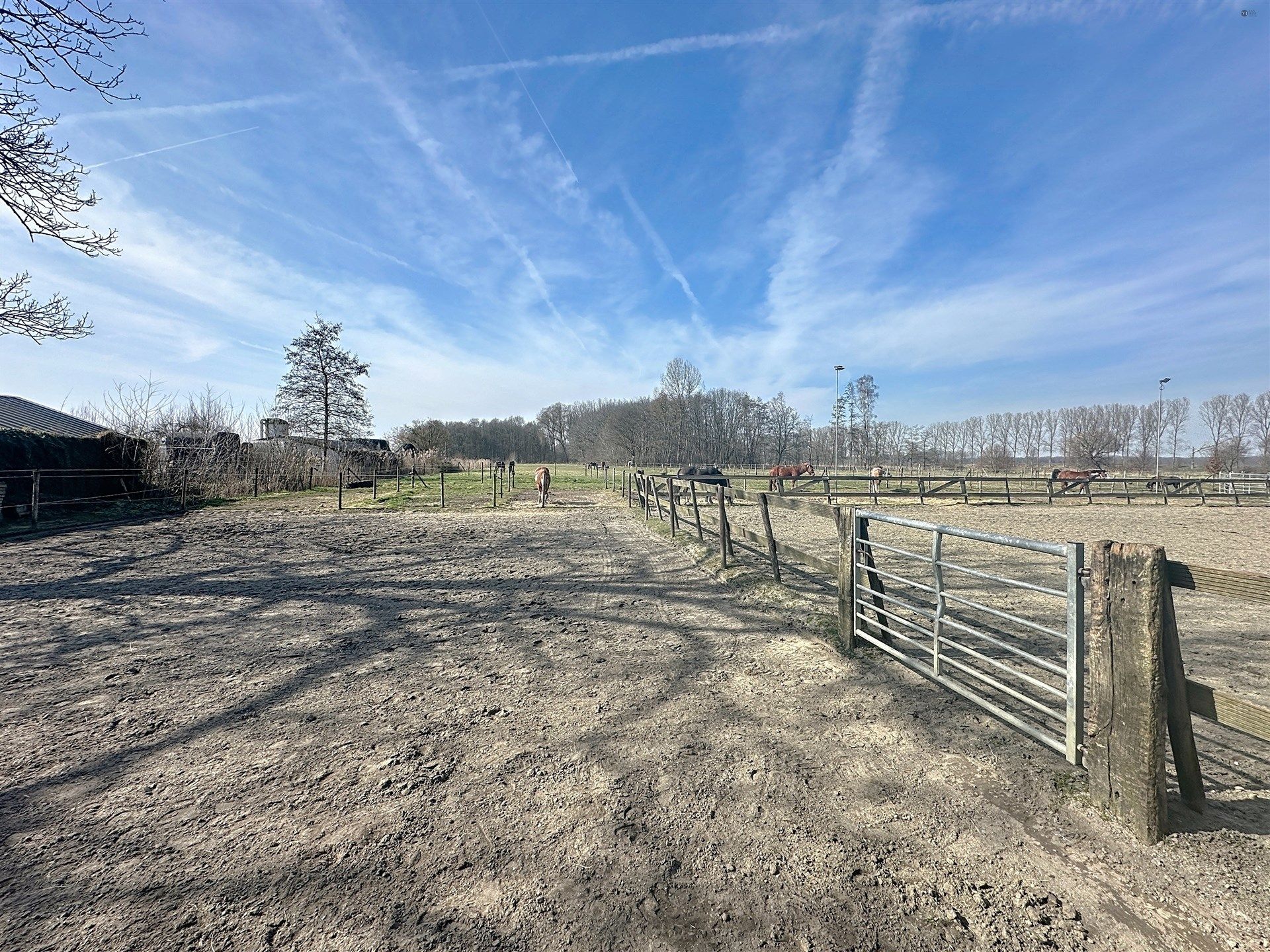 PRACHTIG GELEGEN HOEVE met bijgebouw, paardenstallen, binnenpiste en weiden op 18.385m² foto 43