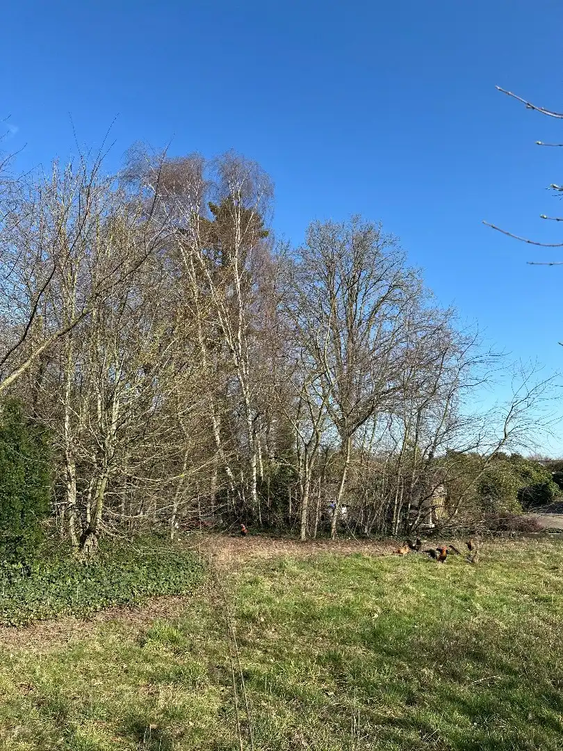 Nieuwbouwwoning, open bebouwing, 3 slpk, 14a 53ca, rustig gelegen te Kermt foto 18