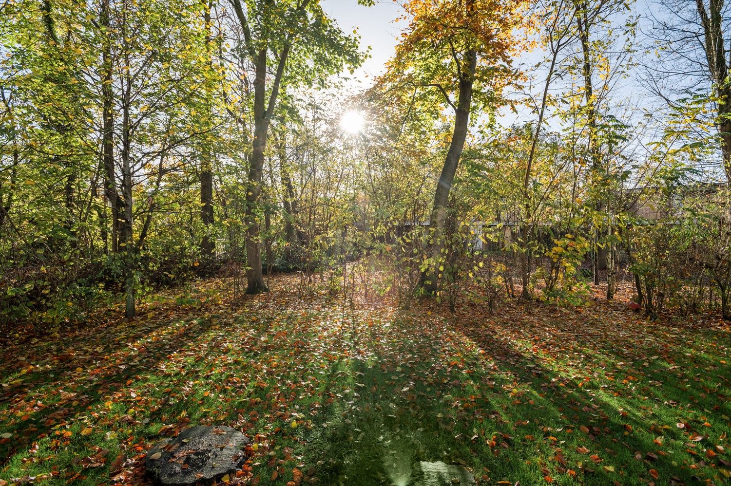 Gelijkvloers appartement met 3 slaapkamers & terras in Deurne! foto 14