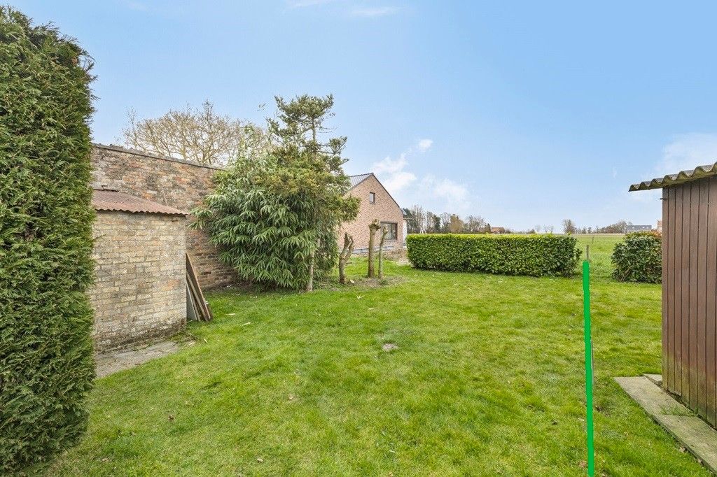 BUITENKANS! ALVERINGEM: Te renoveren/te slopen woonhuis "echt niet ver van de platse" met zongerichte tuin op 478m² grondoppervlakte. foto 17