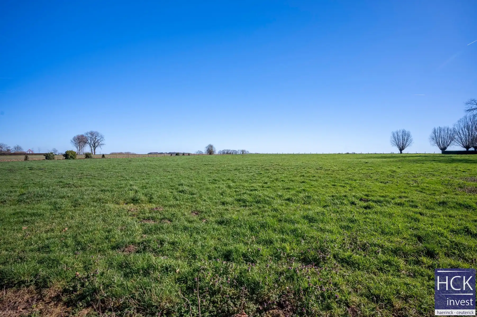 KRUISHOUTEM - Te renoveren alleenstaande villawoning op 2231m² foto 18