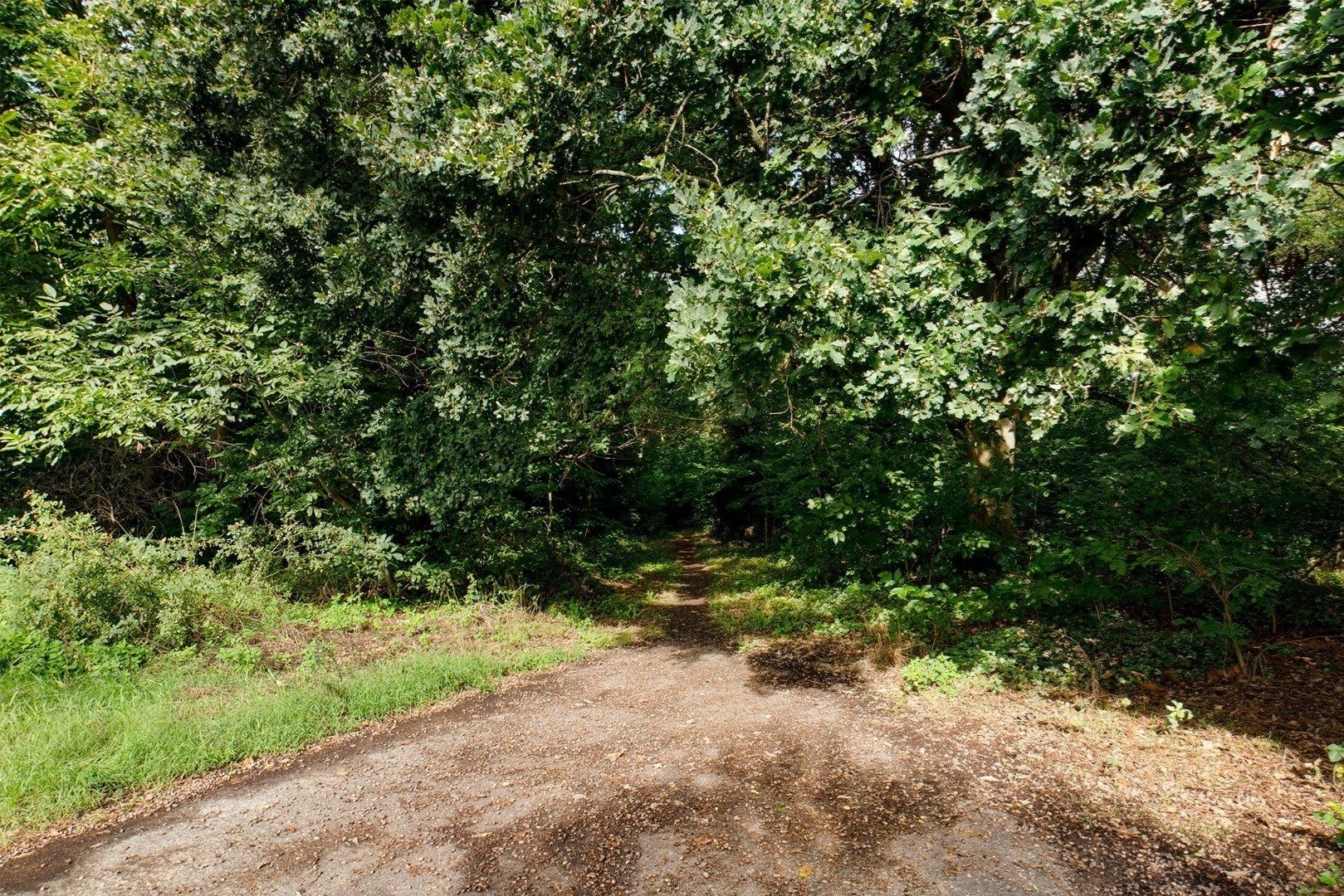 Uniek recreatieperceel in Dilsen-Stokkem – Kansen voor investeerders foto 15