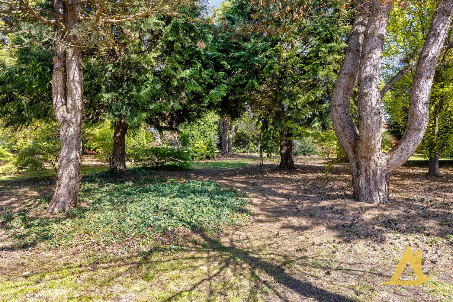 EXCLUSIEVE VILLA MET PARKTUIN EN ZWEMVIJVER OP EEN PERCEEL VAN 1HA 5A 16CA! foto 70