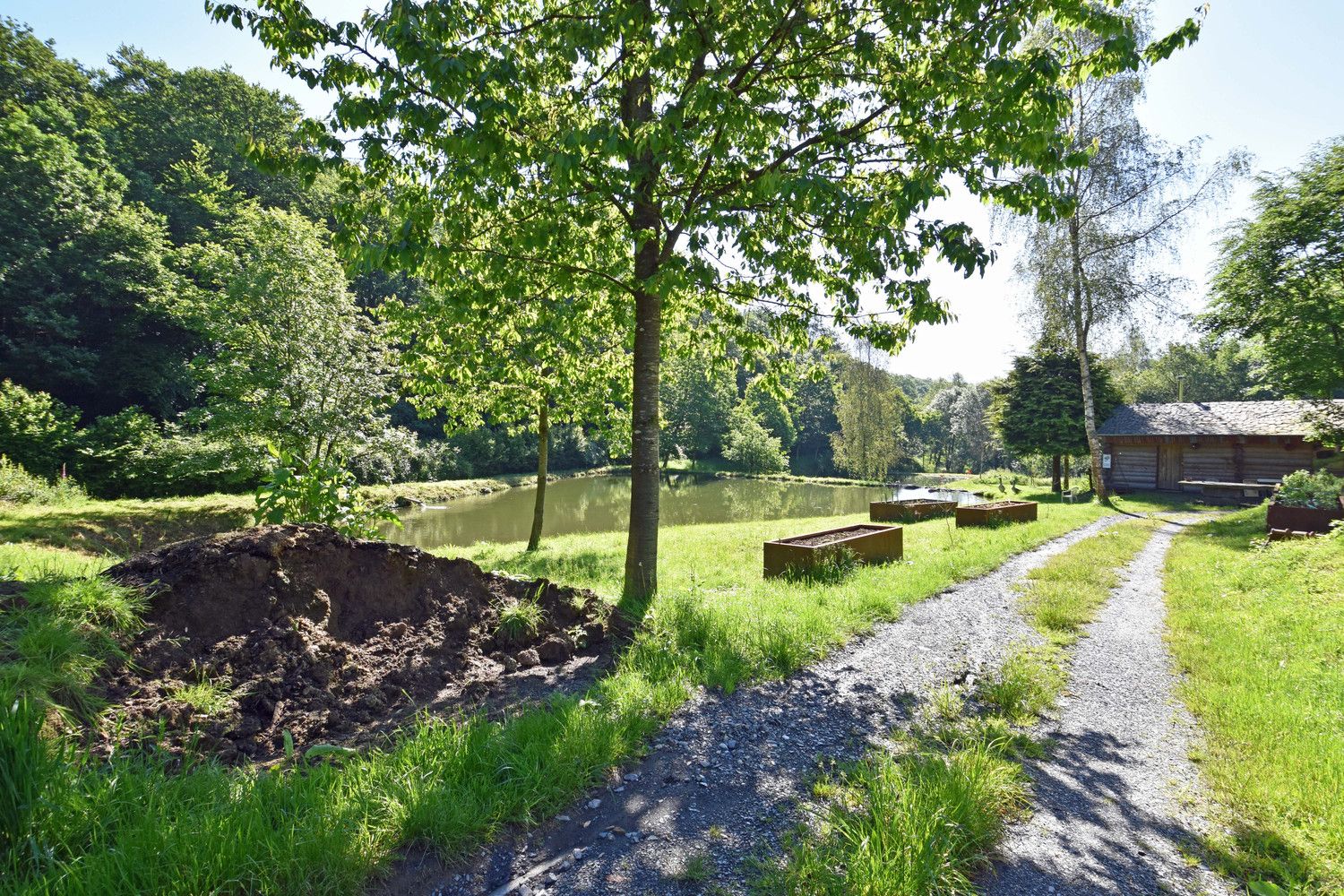 Ydillisch gelegen visvijer met 3 grote waterpartijen in de regio van Vresse-Sur-Semois! foto 2