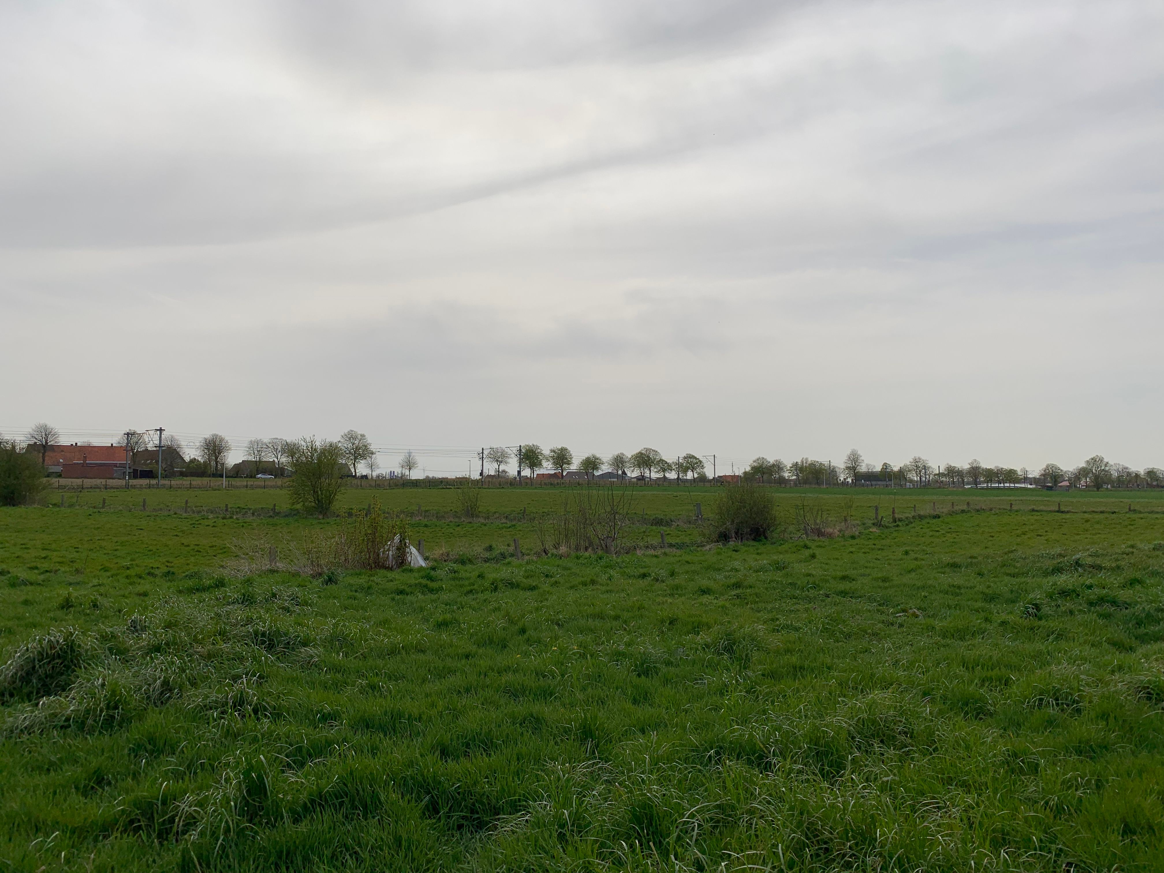 Idylissch gelegen hoeve met diverse bijgebouwen op 3ha foto 8