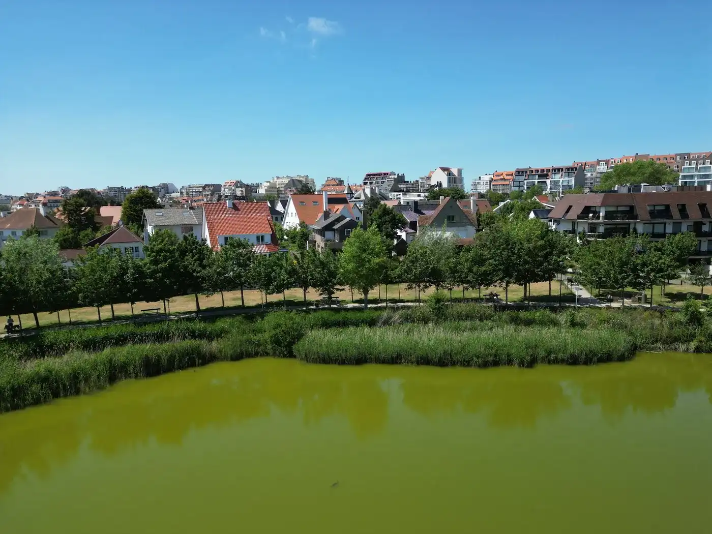 Alleenstaande villa gelegen op het Zegemeer met NIEUW VERGUND PLAN foto 4
