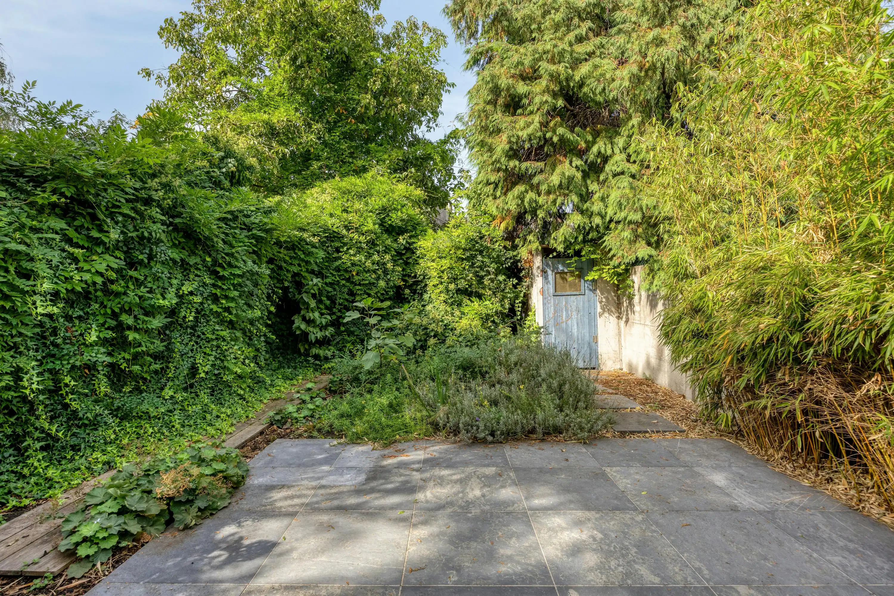 Huis met 4 kamers en tuin te koop vlakbij het Rivierenhof!  foto 26