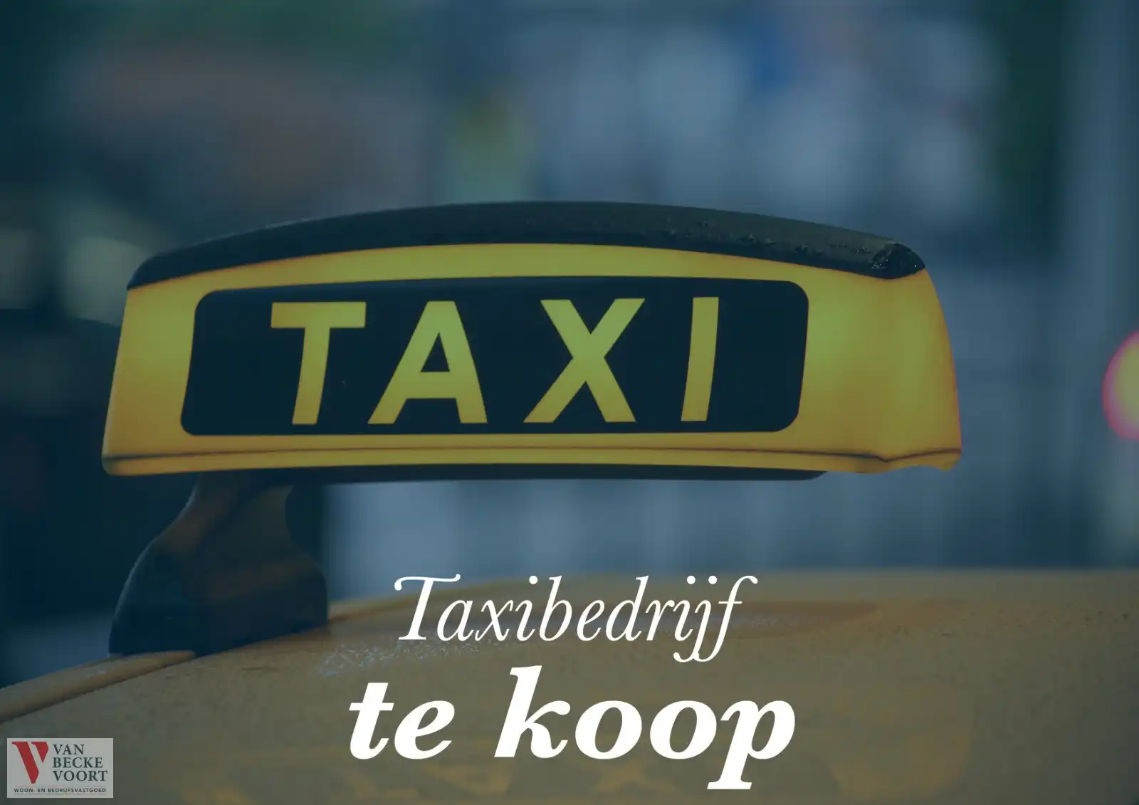 Taxibedrijf foto {{pictureIndex}}