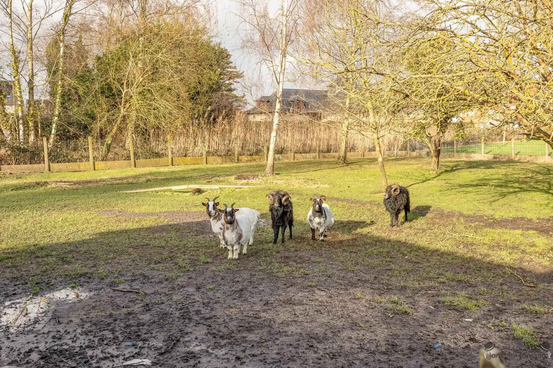 Lifestyle woning met uniek karakter foto 53