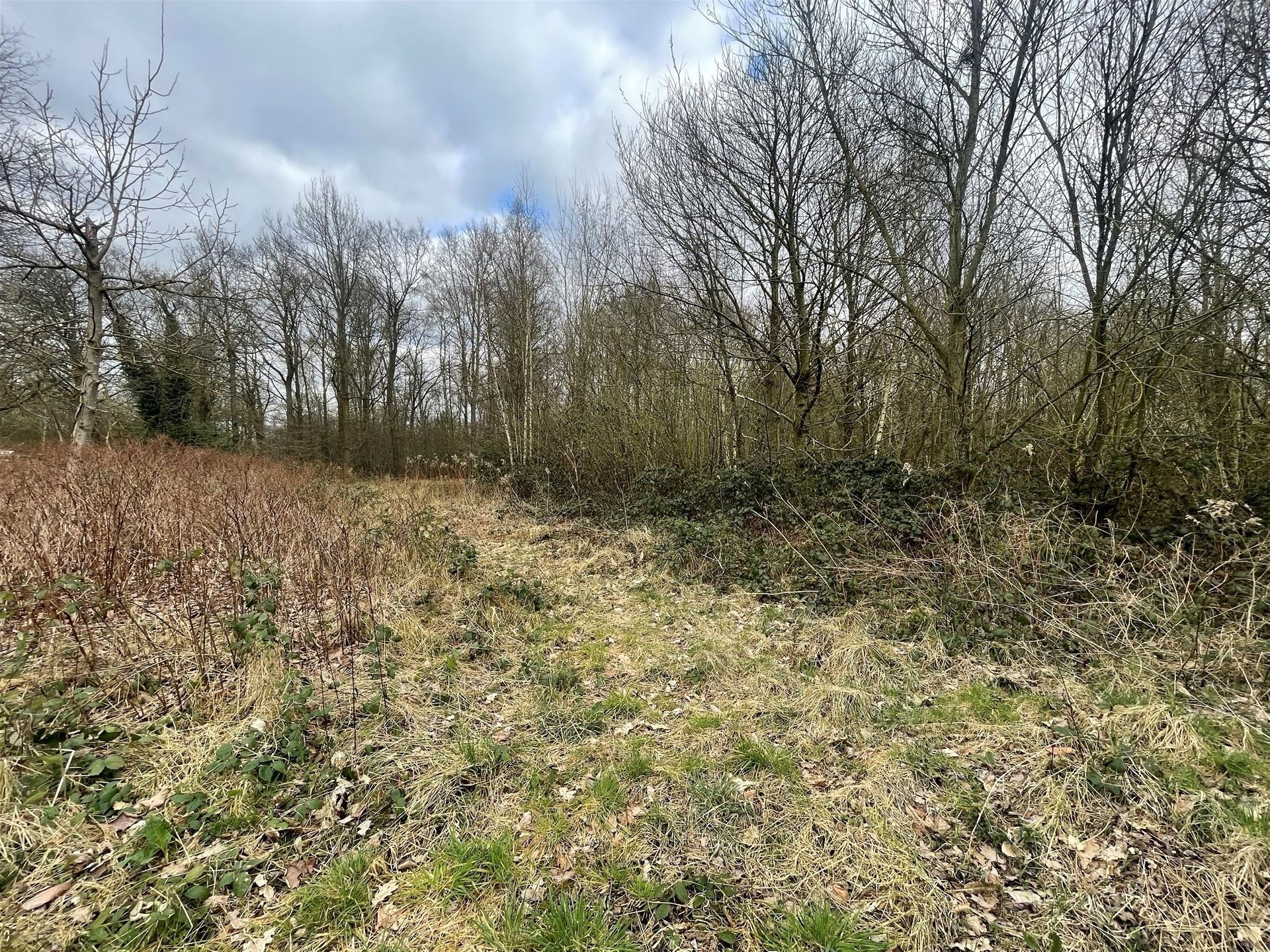 Weiland / Bouwland foto 4