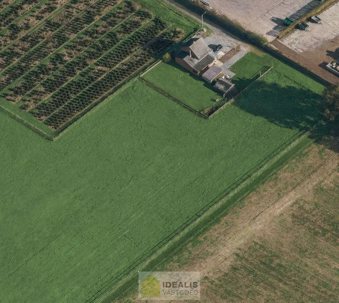 IDEALIS VASTGOED – KARAKTERVOLLE EIGENDOM OP TOPLOCATIE AAN HET KOLISBOS MET VERGUND NIEUWBOUWPROJECT foto 6