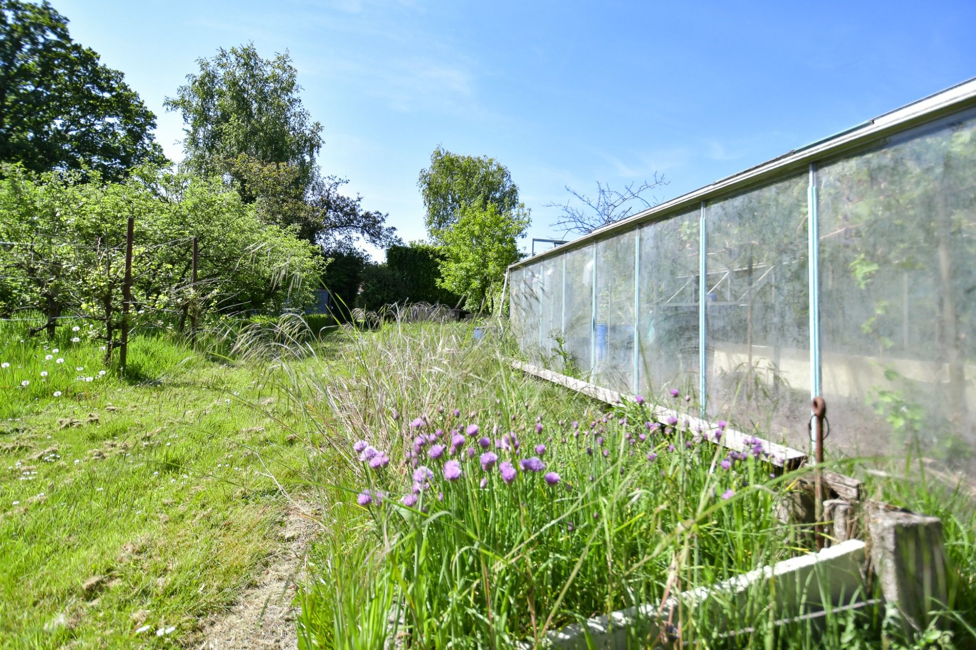 Woning en bijgebouw met prachtige idyllische tuin en uitweg op 2034 m² foto 4