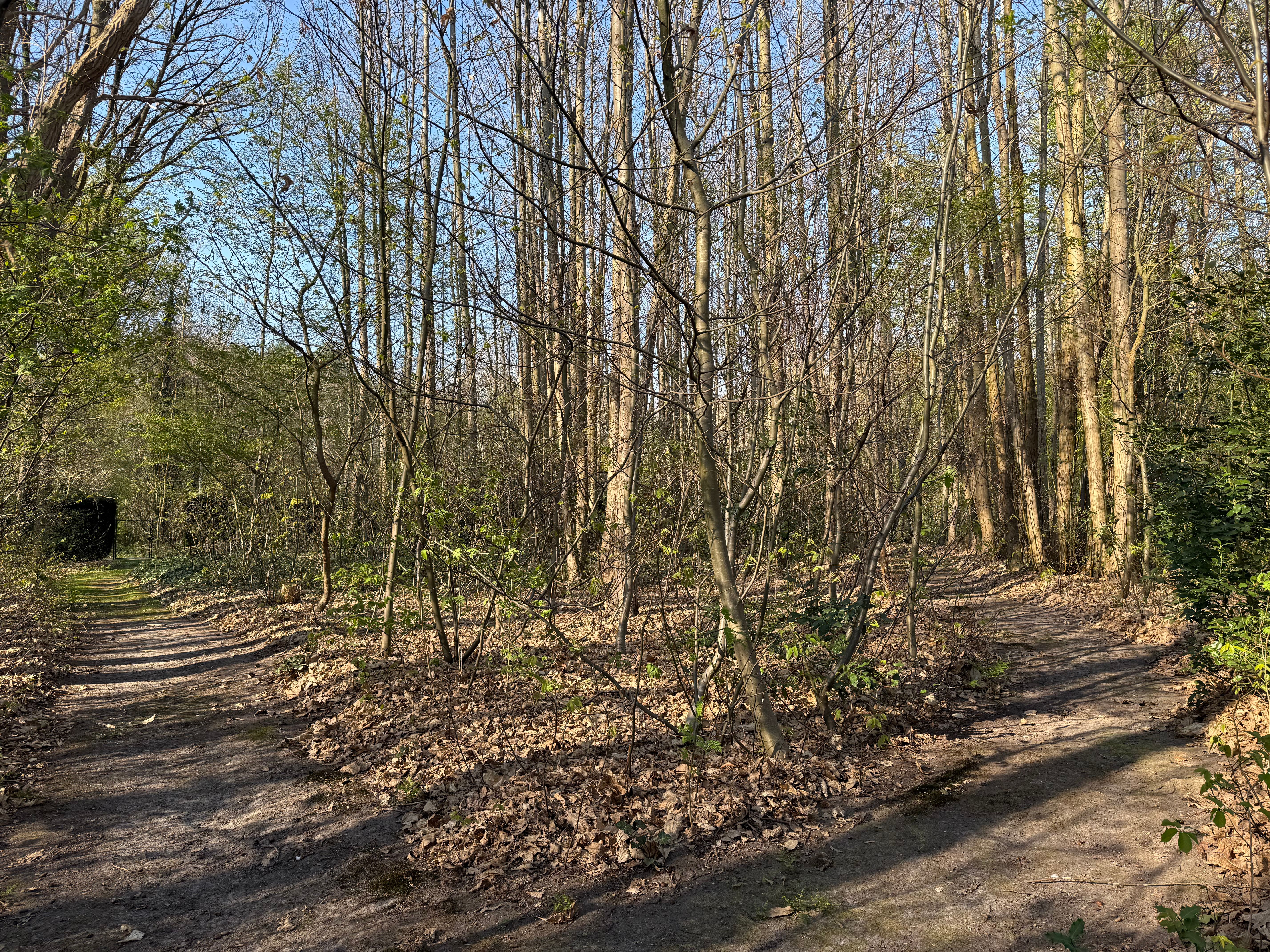 Residentiële bouwgrond op toplocatie foto 5