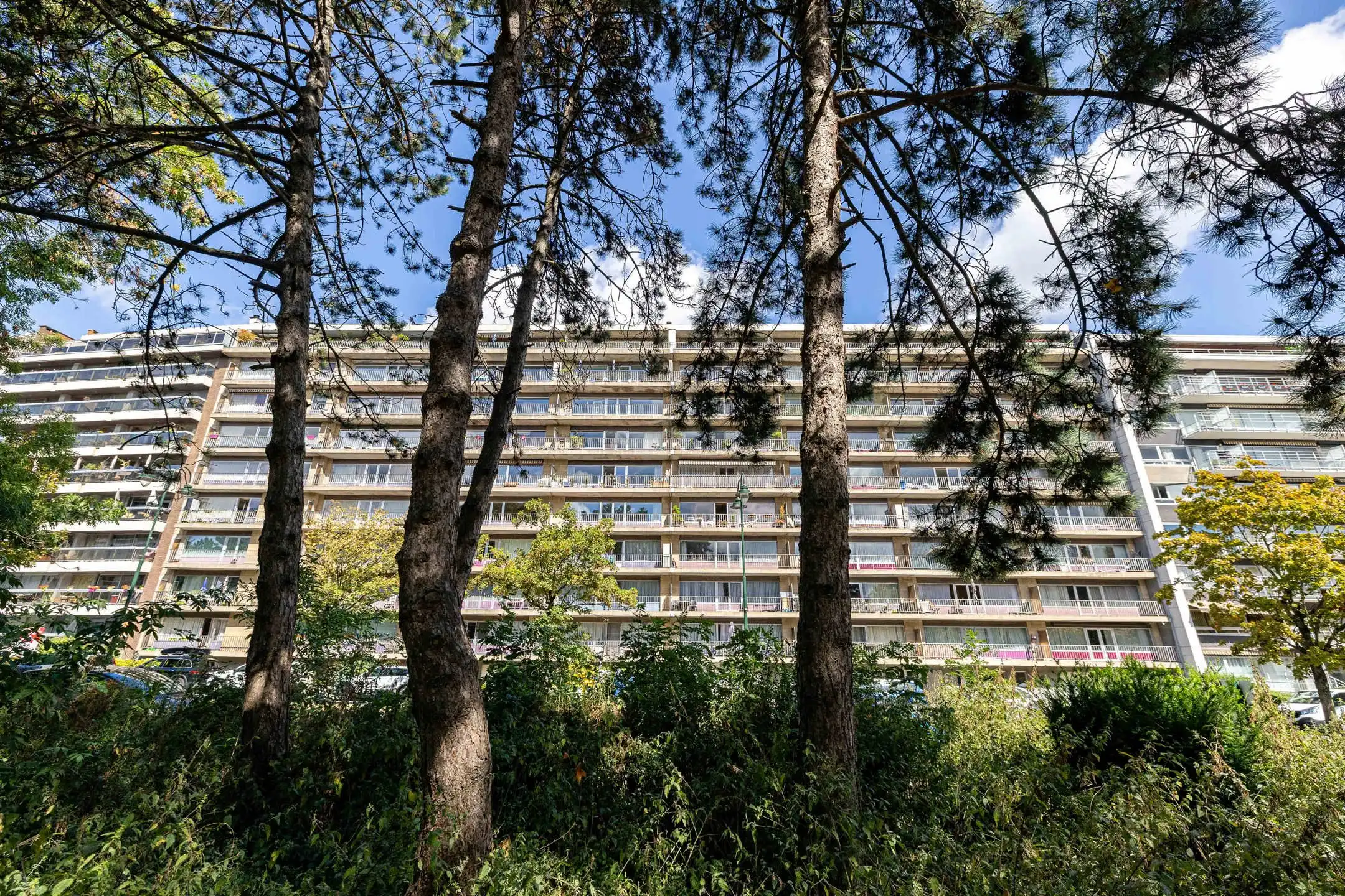 Mooi 2 slpkmrs appartement met uitzicht op het Park Albert foto 19