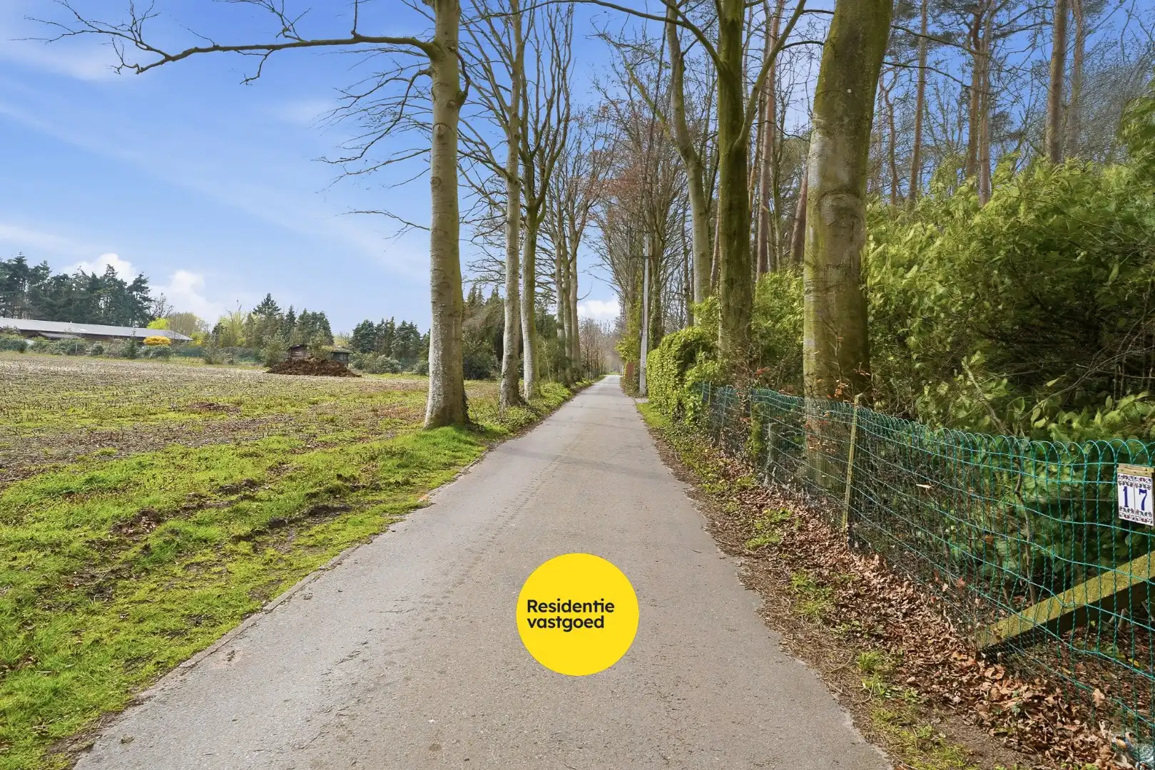 Alleenstaande bungalow op prachtige ligging in het groen foto 18