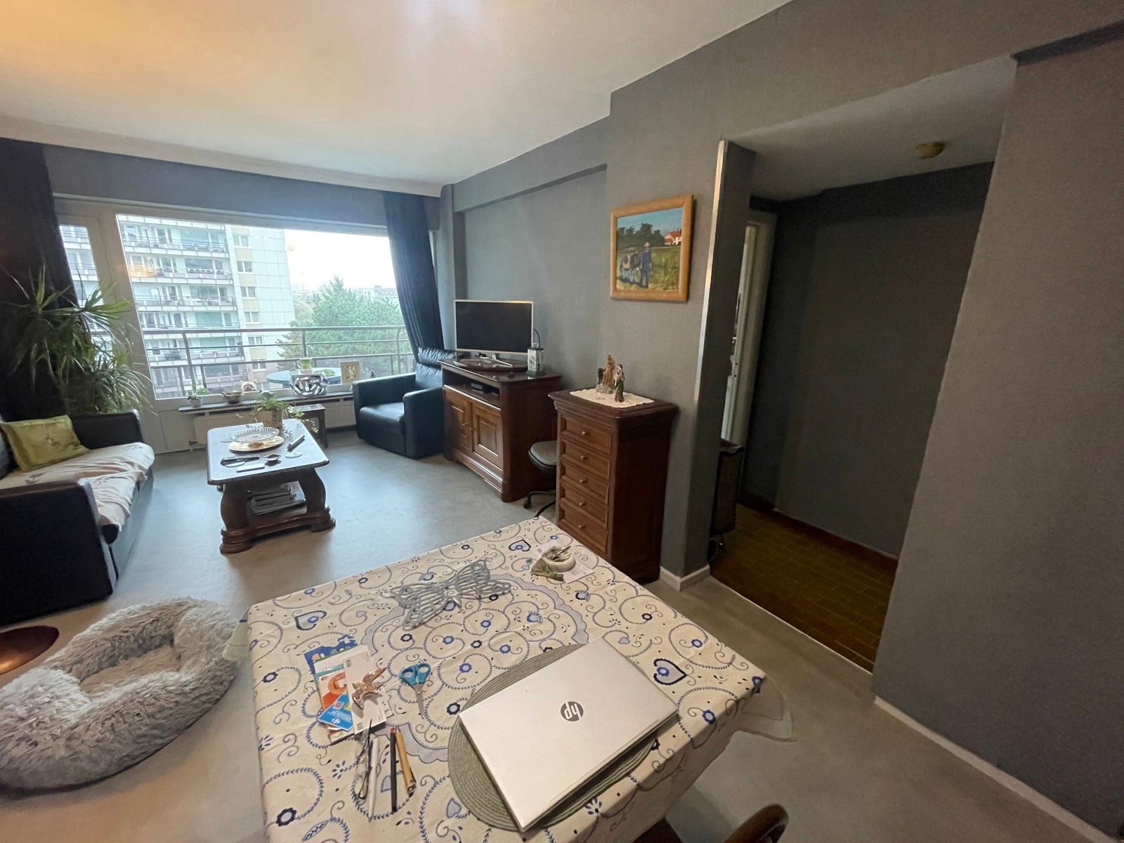 OPTIE Appartement met één slaapkamer, terras en kelder foto 4