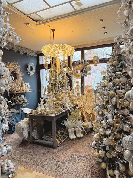 HANDELSPAND MET WOONST OP TOPLOCATIE TE DIEST! foto 17