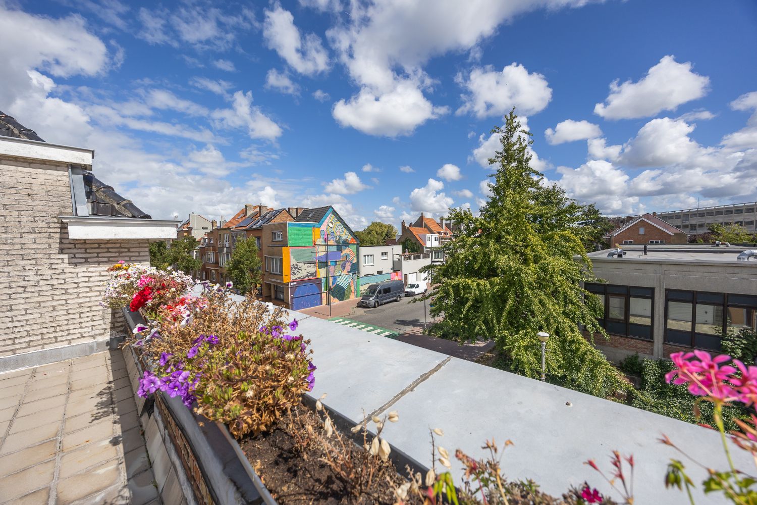 Ruim appartement met 5 garages foto 17