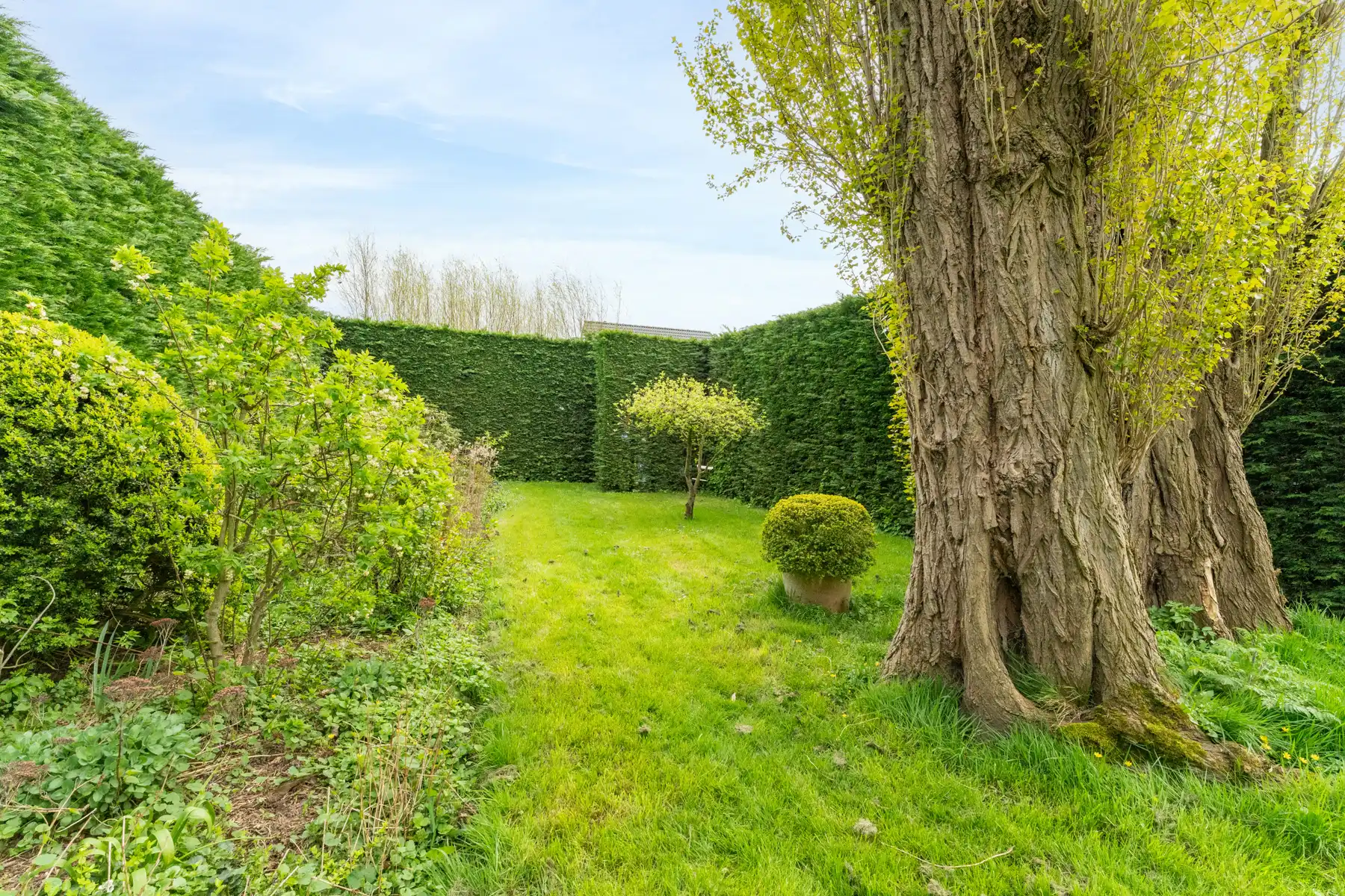 Bouwgrond voor halfopen bebouwing, koppelbouw foto 10