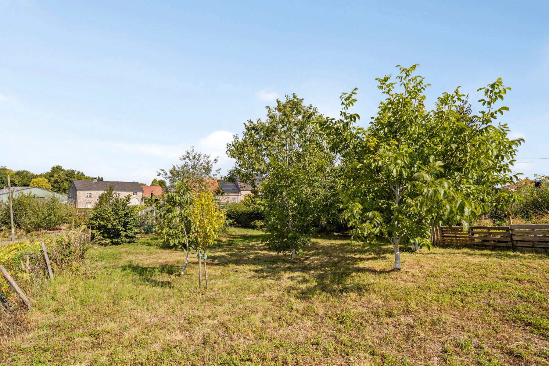 Huis te koop foto 32