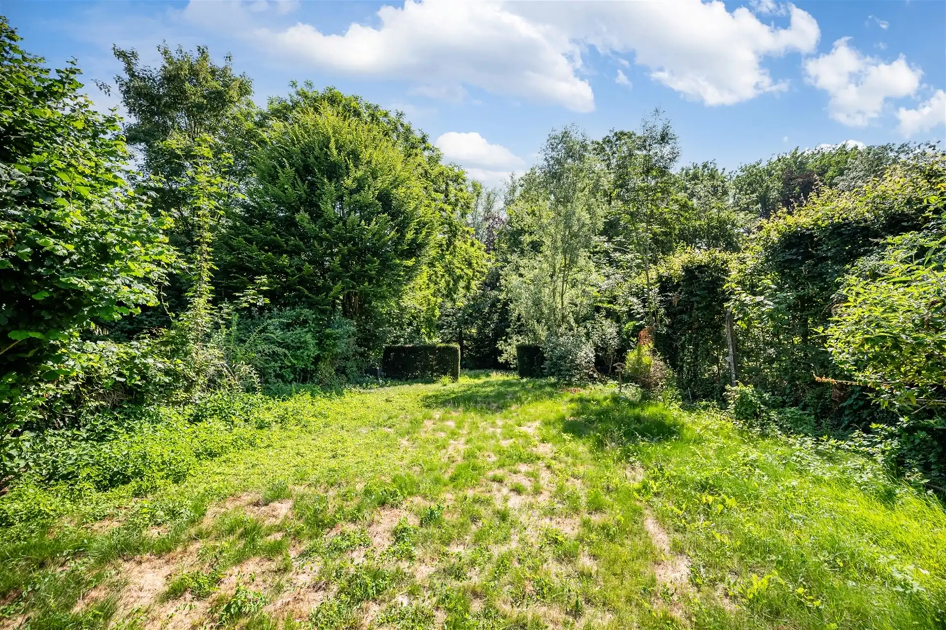 Prachtige HOB met vier slaapkamers, bureau en grote tuin foto 19