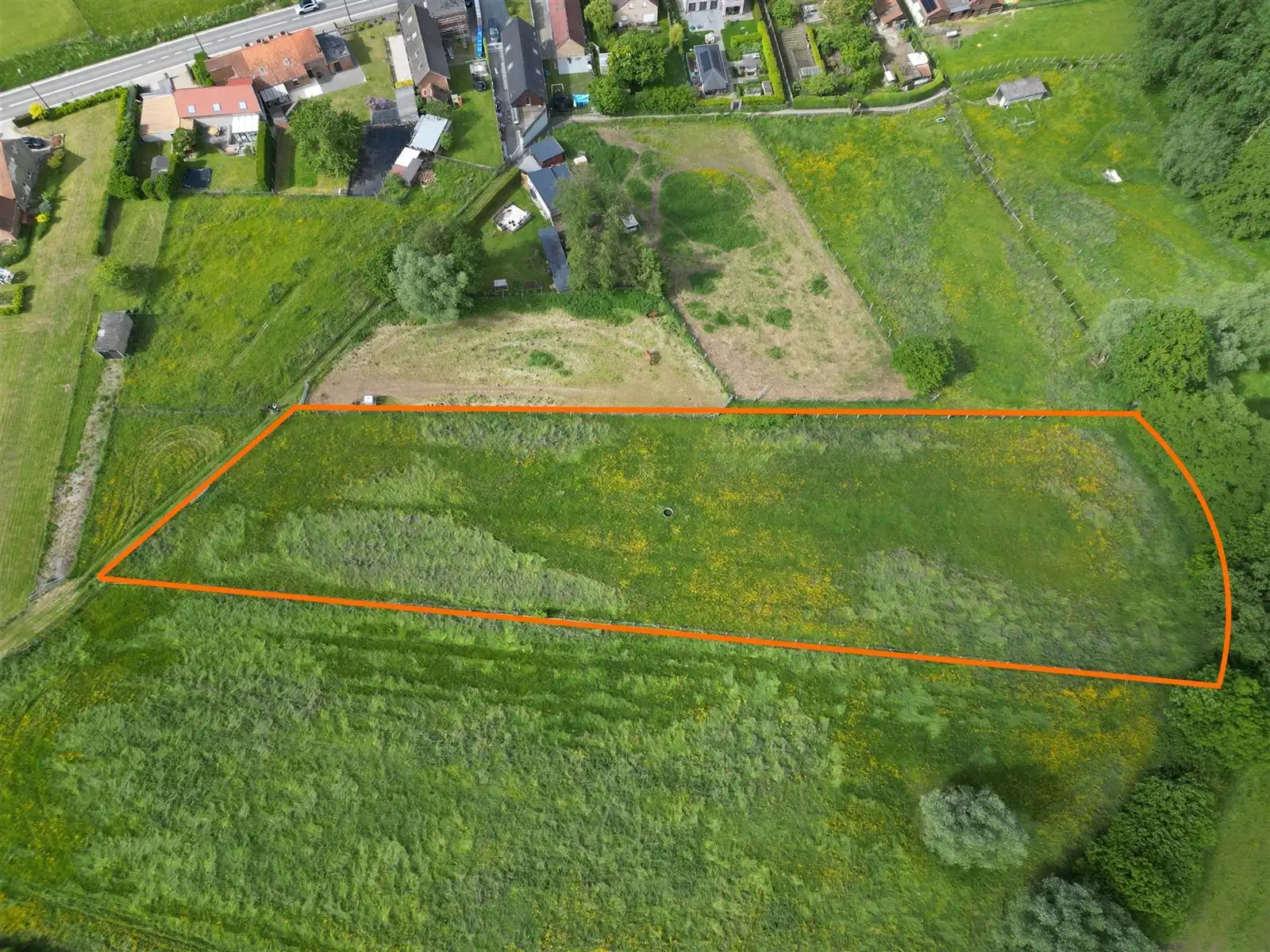 Prachtig gelegen te renoveren  Hoeve woning met stallingen en weides foto 29