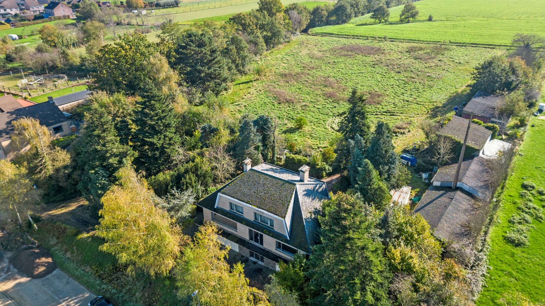 HOLSBEEK - projectgrond +1 hectare foto 6