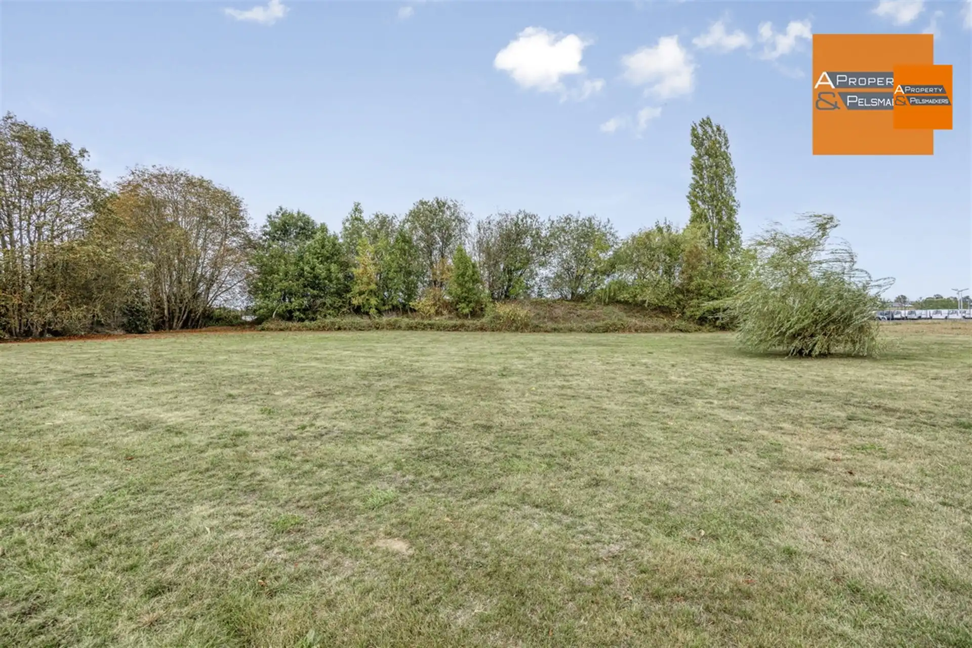 Hotel met 24 kamers foto 31