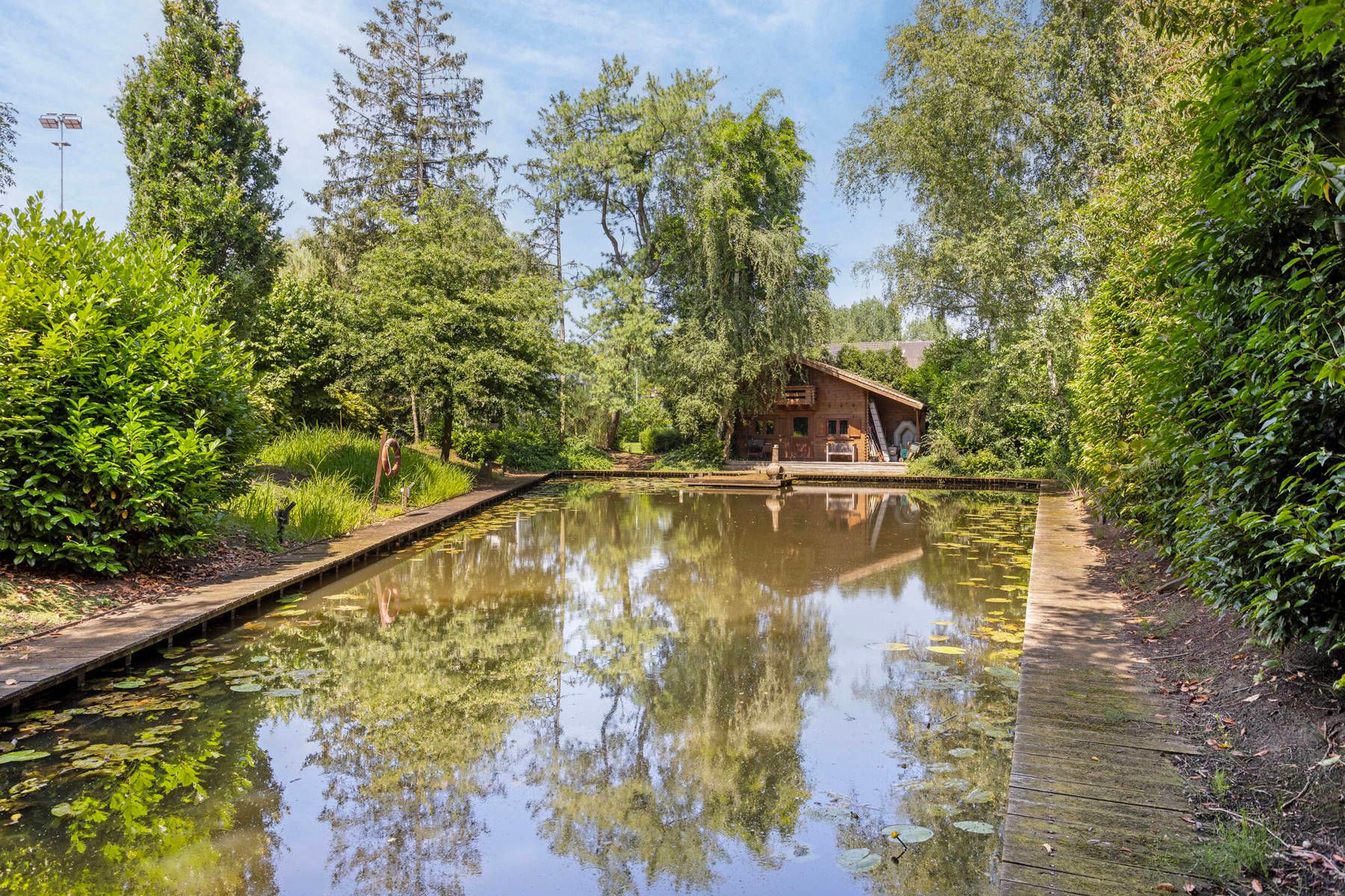 Buitengewone woning met prachtige tuin en zwemvijver. foto 4