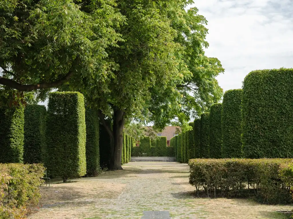 Ruim 2-slaapkamerappartement met zonnig terras in de Sint-Machariuswijk foto 4
