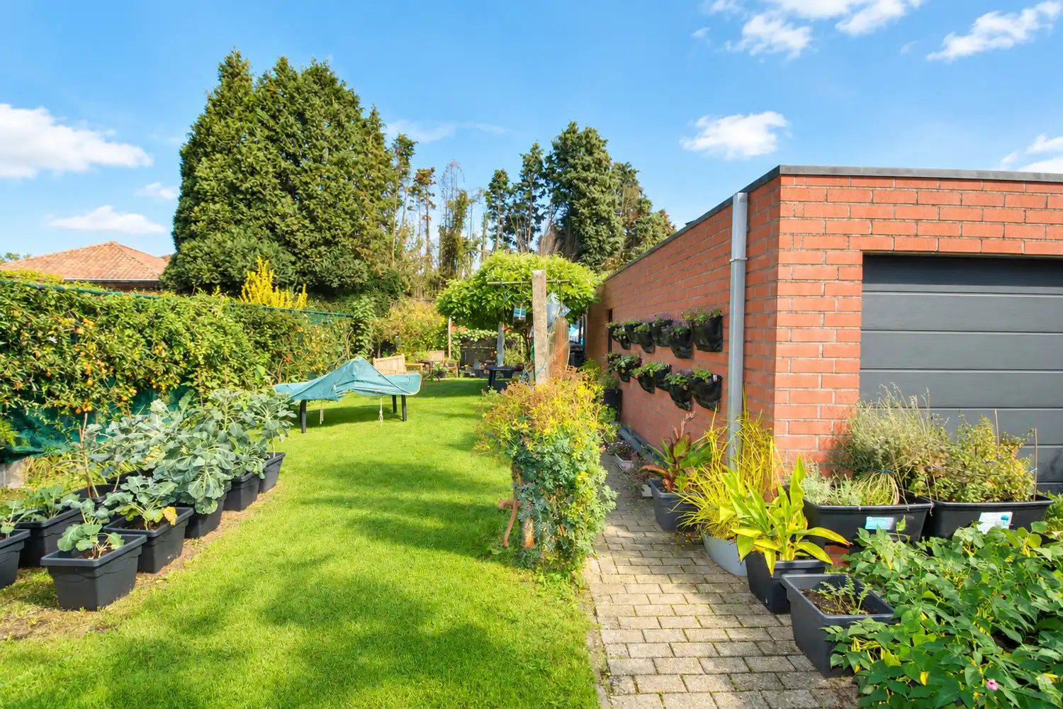 TE MODERNISEREN H.O.B. MET TUIN EN GARAGE! foto 12